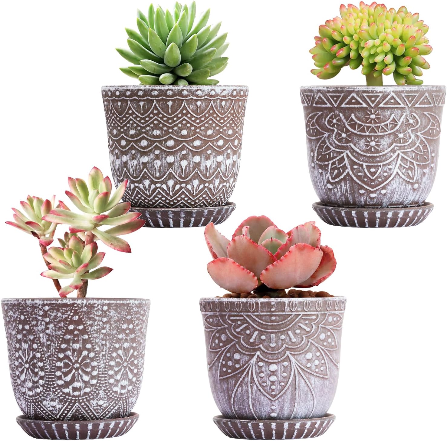 Ceramic Indoor Planters with Drainage and Saucers, 6 inch