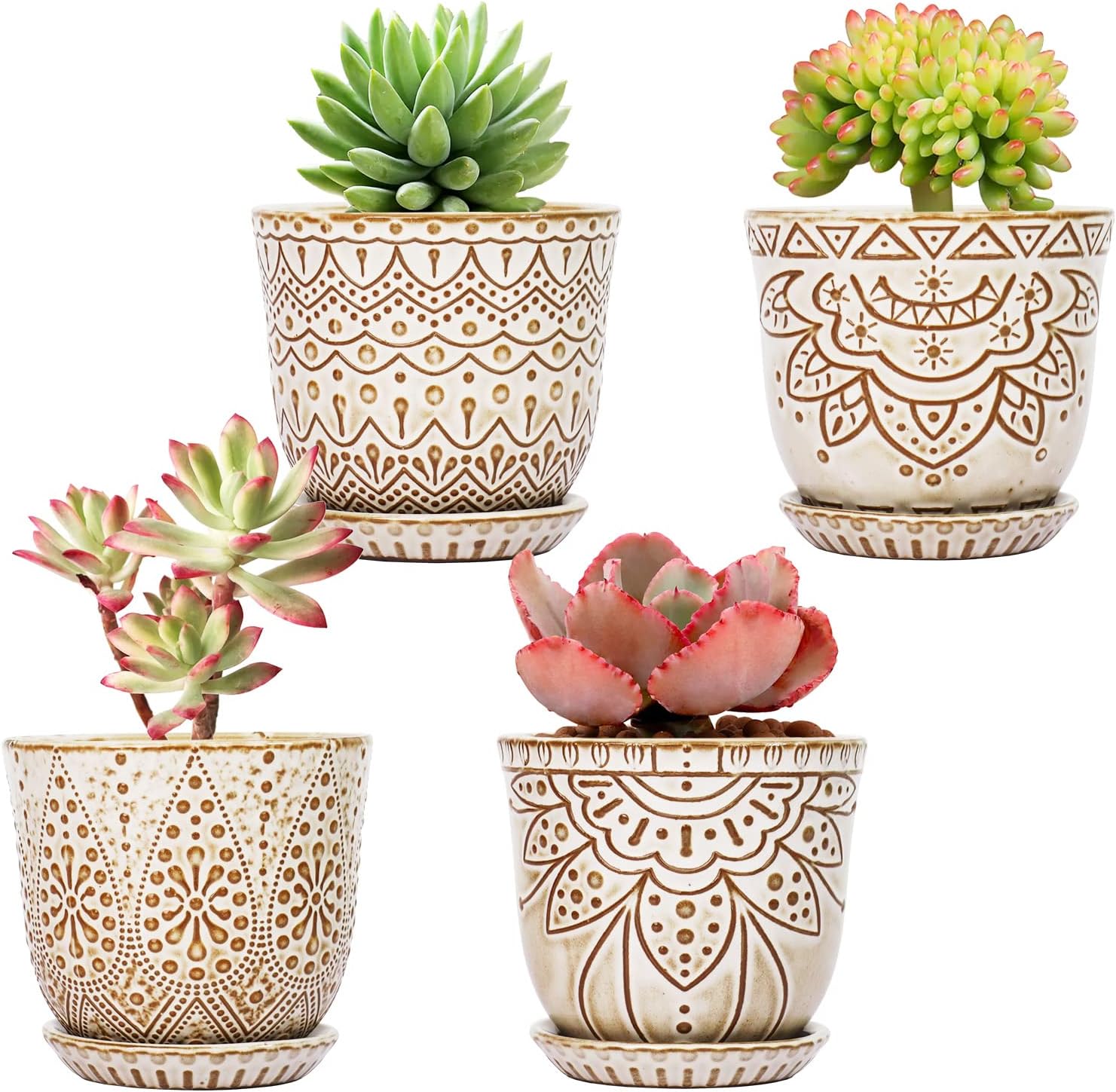 Ceramic Indoor Planters with Drainage and Saucers, 6 inch
