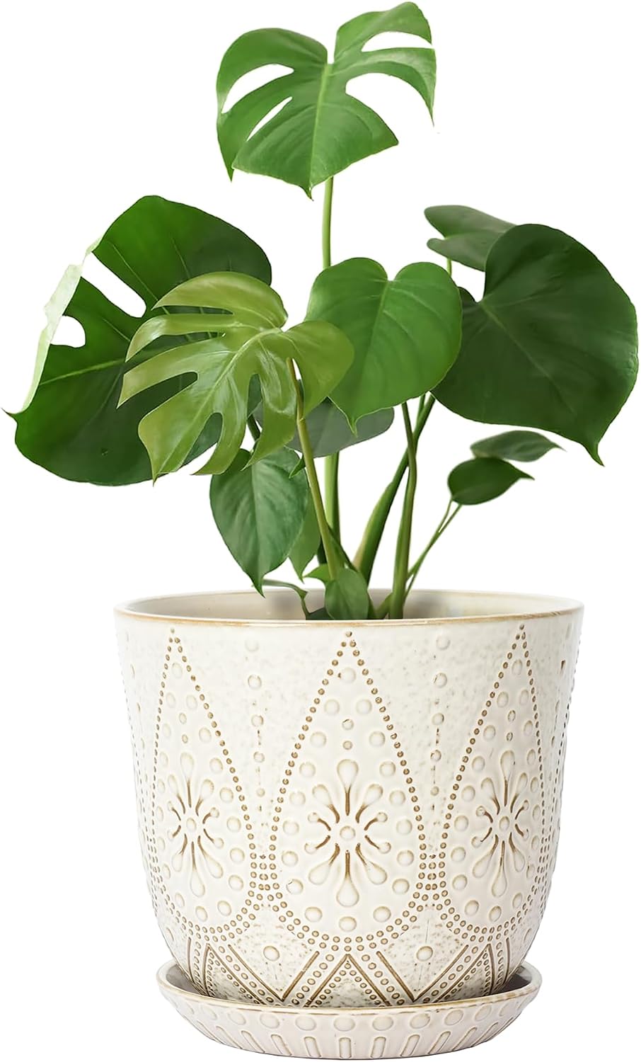 Ceramic Indoor Planters with Drainage and Saucers, 6 inch