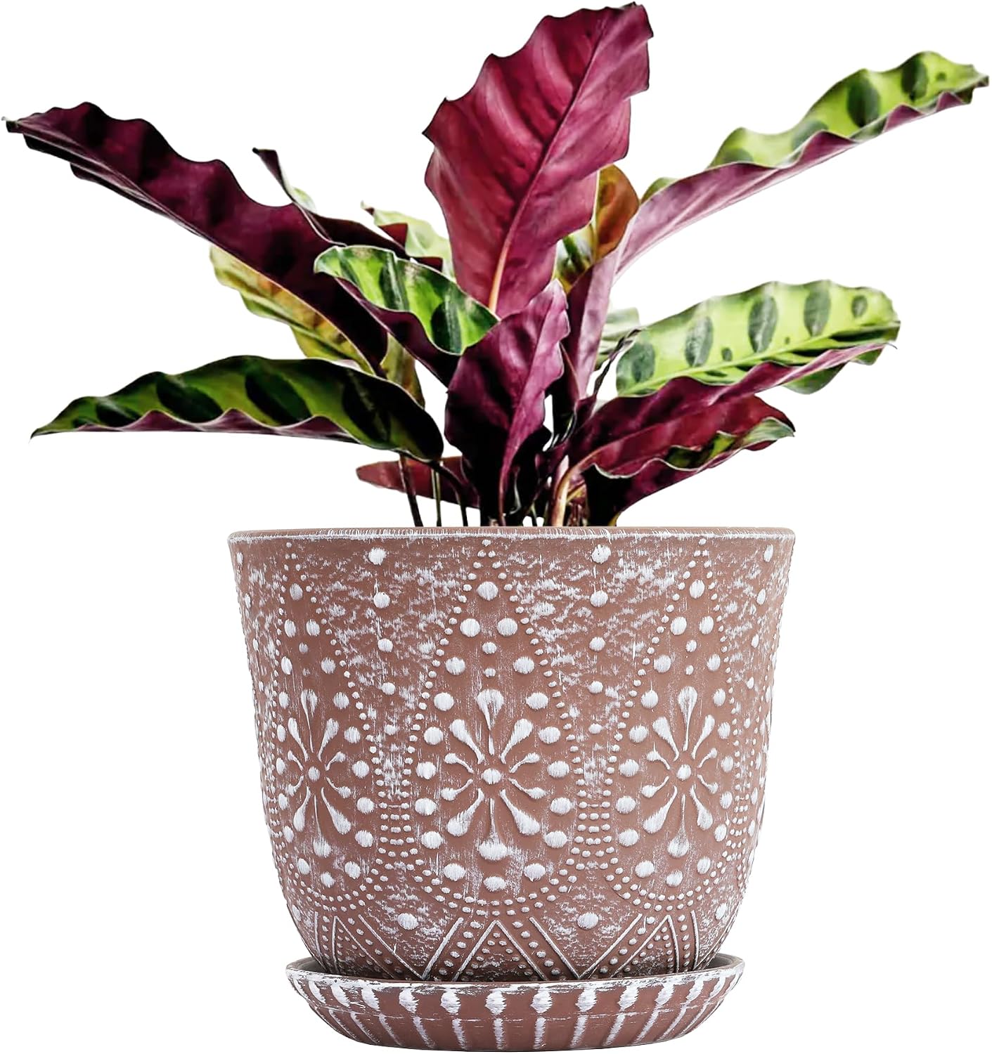 Ceramic Indoor Planters with Drainage and Saucers, 6 inch