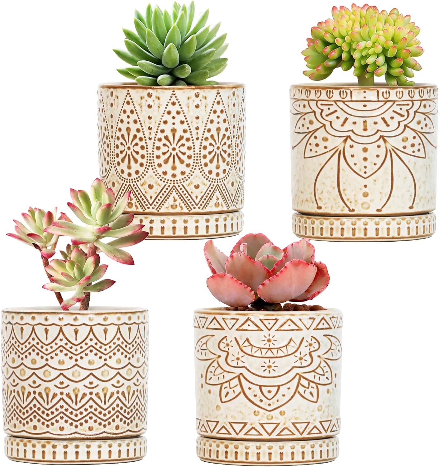 Ceramic Indoor Planters with Drainage and Saucers, 6 inch