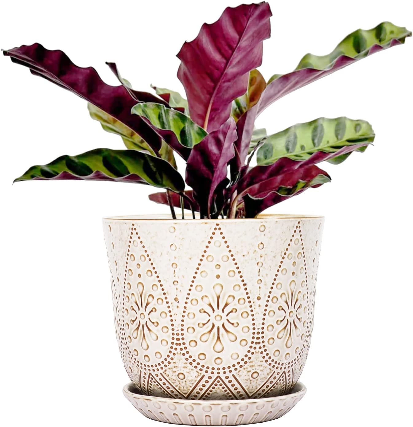 Ceramic Indoor Planters with Drainage and Saucers, 6 inch