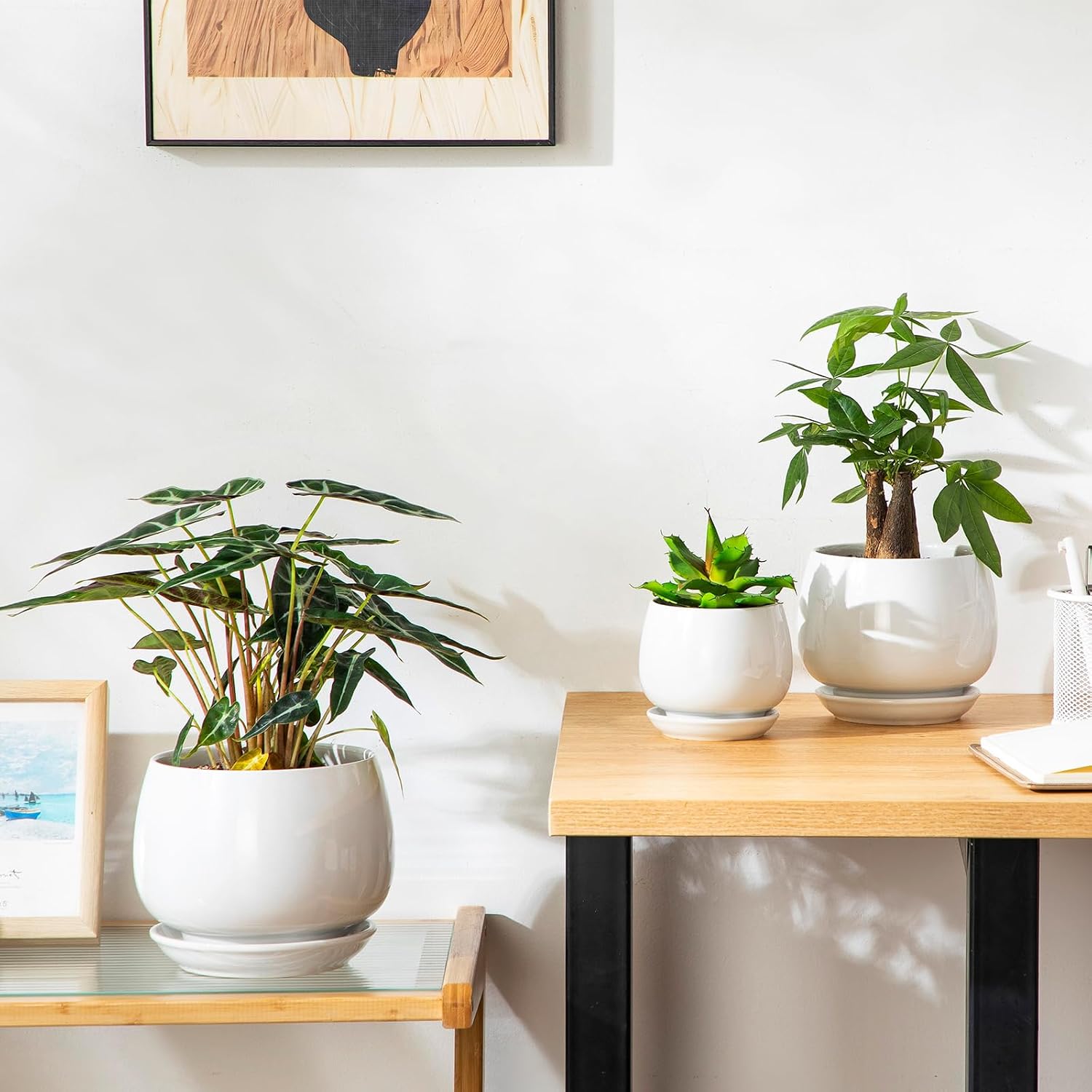 Ceramic Plant Pots with Saucers, 3 Pack, 3.7 to 6.2 inch