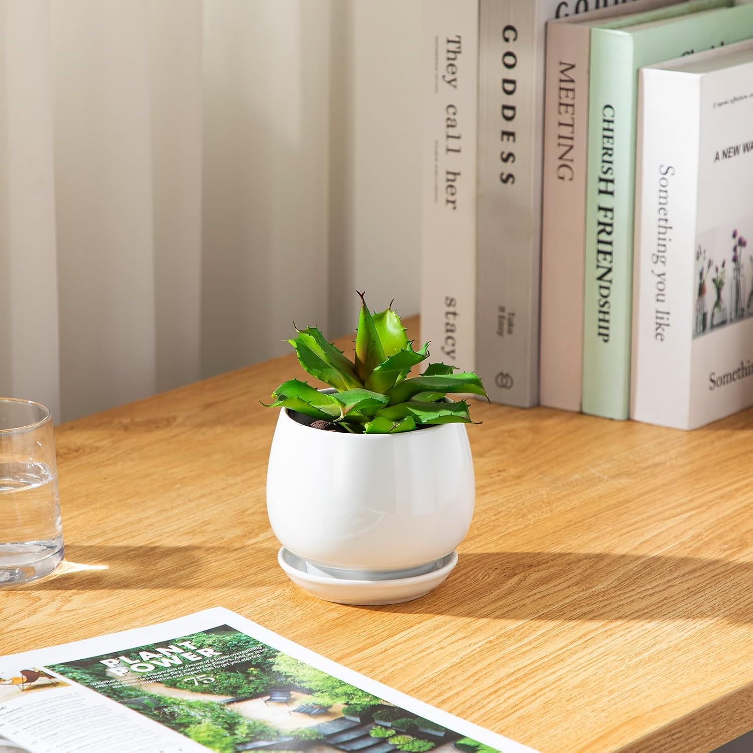 Ceramic Plant Pots with Saucers, 3 Pack, 3.7 to 6.2 inch