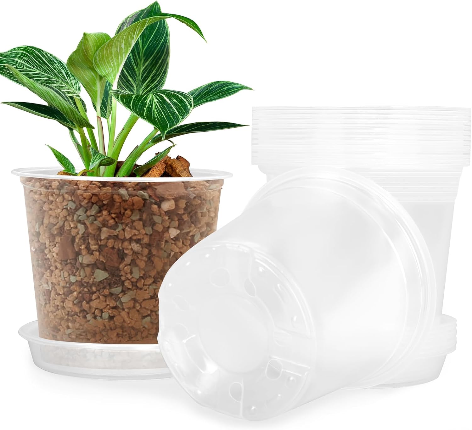 Clear Nursery Pots with Saucers, 20 Pack, 4 to 7 inch