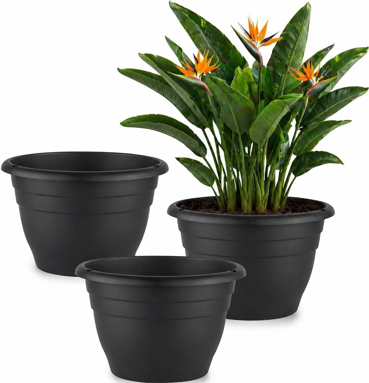 Floor Planters, 5 Pack, 10 inch