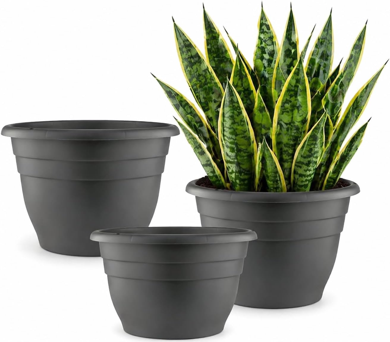 Floor Planters, 5 Pack, 10 inch
