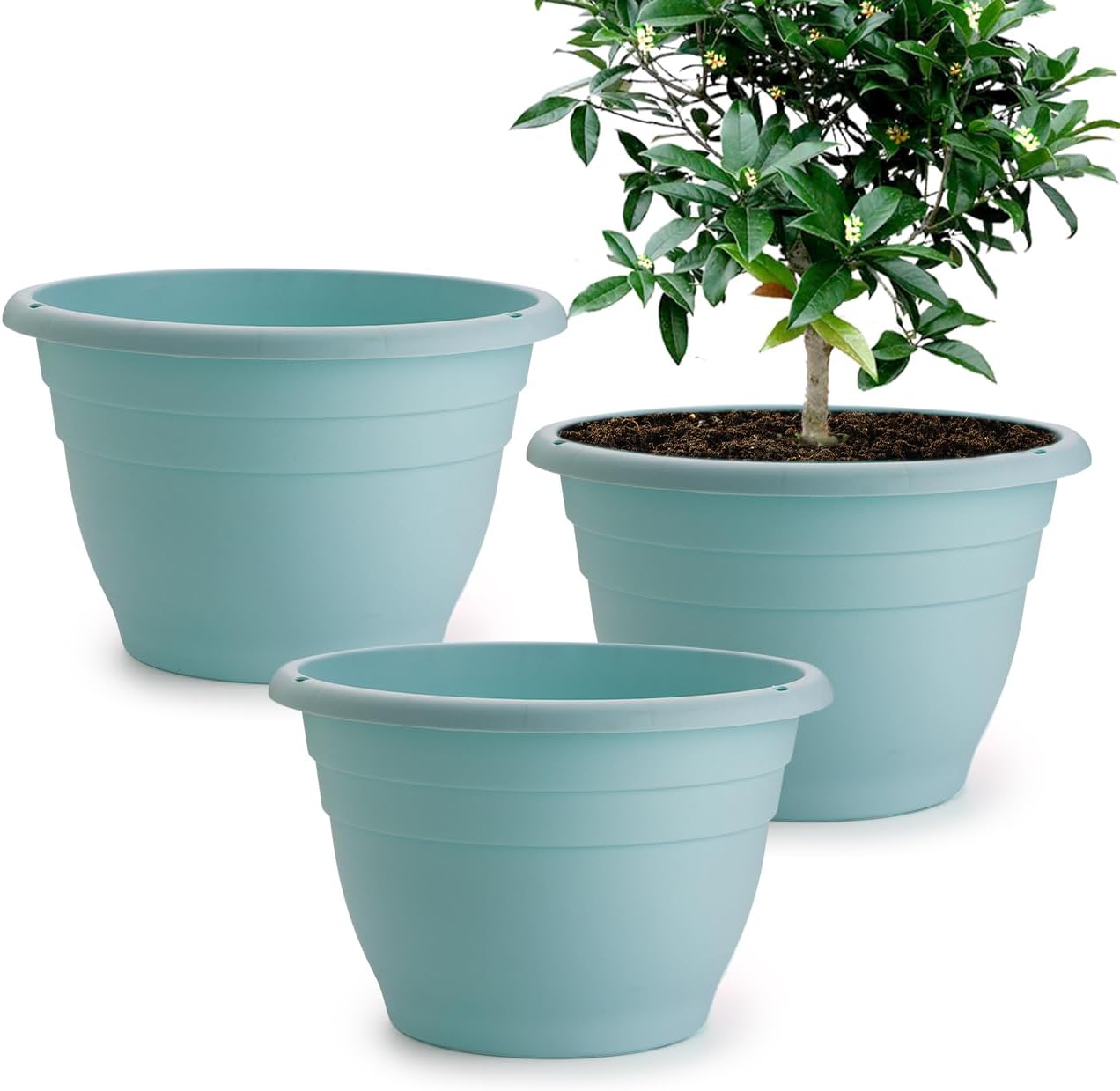 Floor Planters, 5 Pack, 10 inch