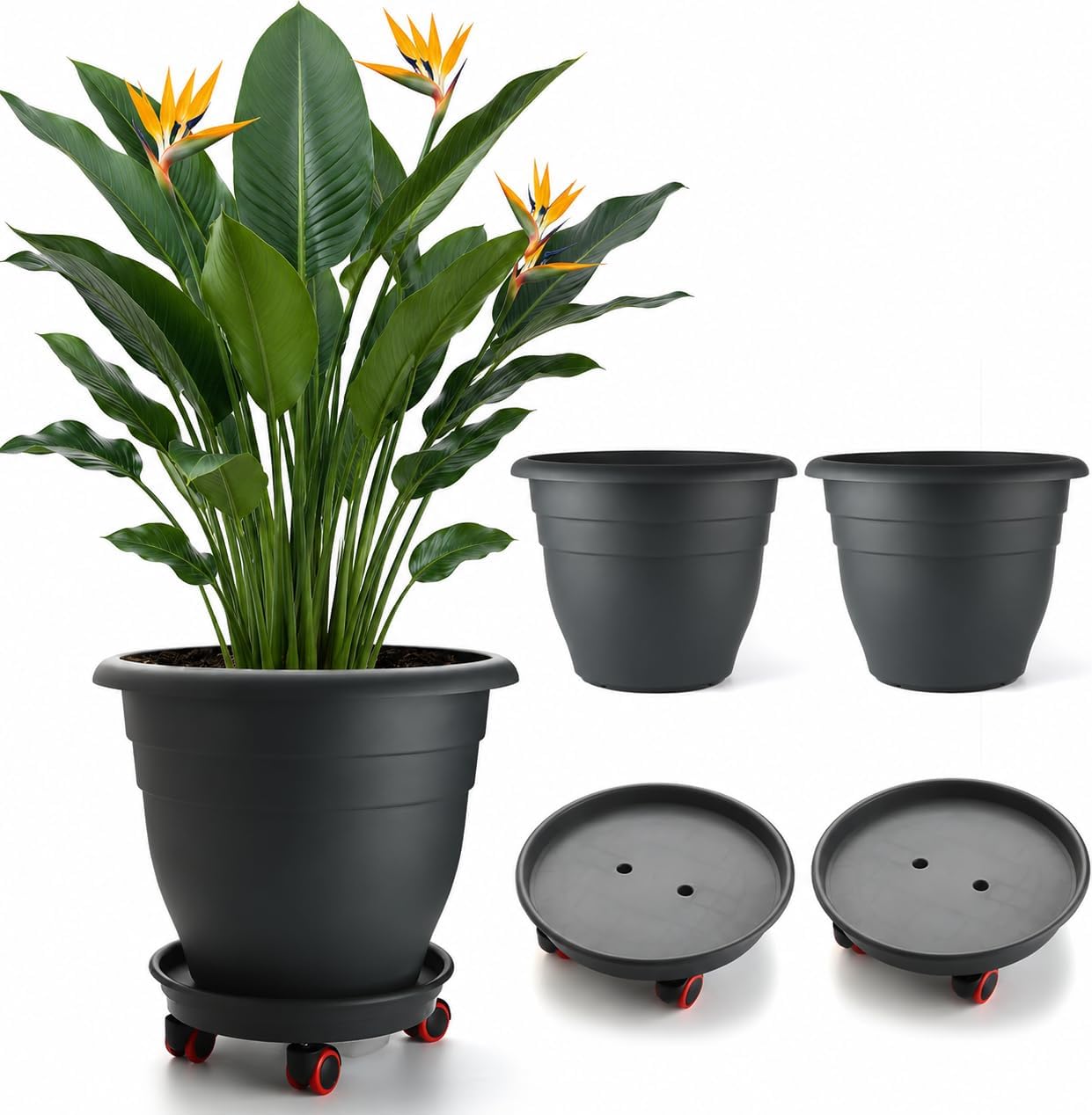 Floor Planters, 5 Pack, 10 inch