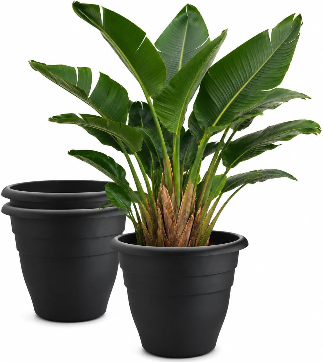 Floor Planters, 5 Pack, 10 inch