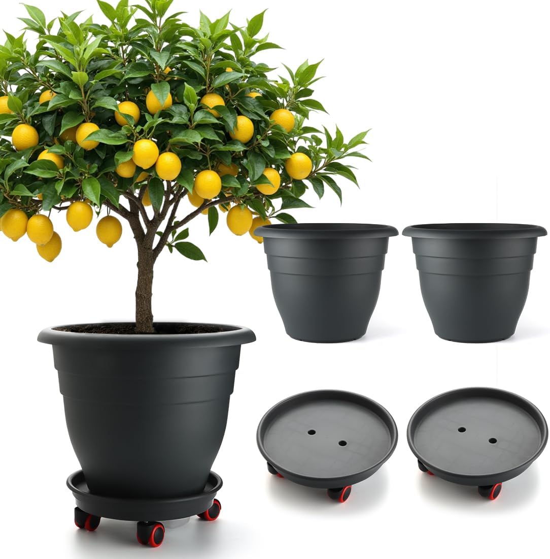 Floor Planters, 5 Pack, 10 inch