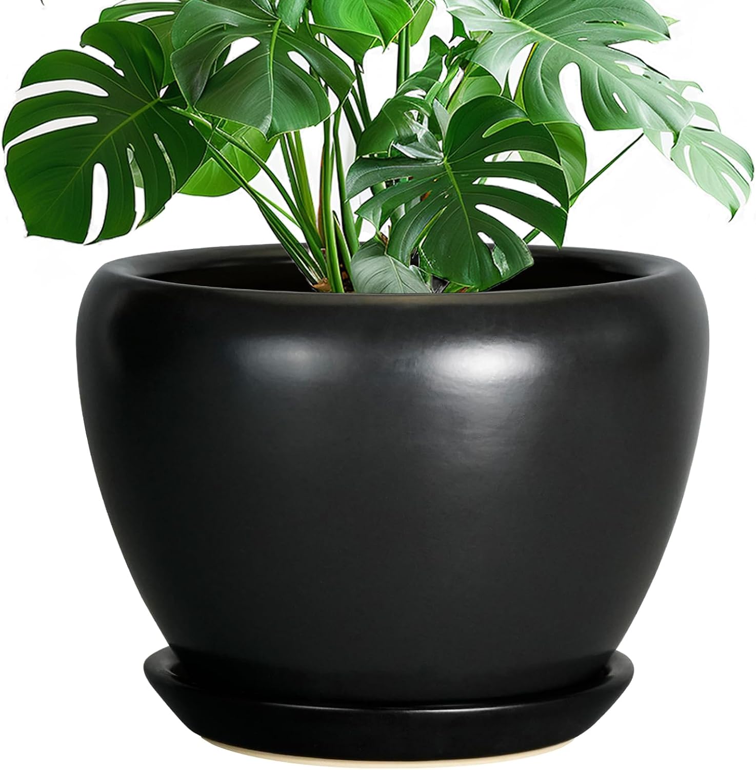 Glazed Ceramic Succulent Planter with Saucer, 6 inch