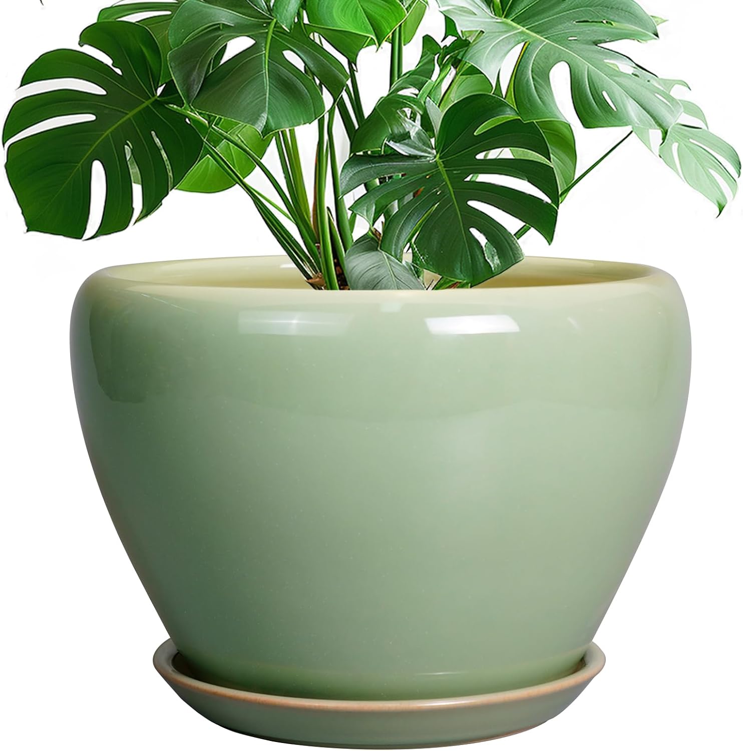Glazed Ceramic Succulent Planter with Saucer, 6 inch