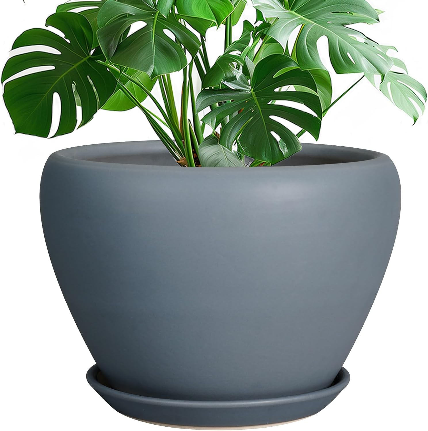 Glazed Ceramic Succulent Planter with Saucer, 6 inch