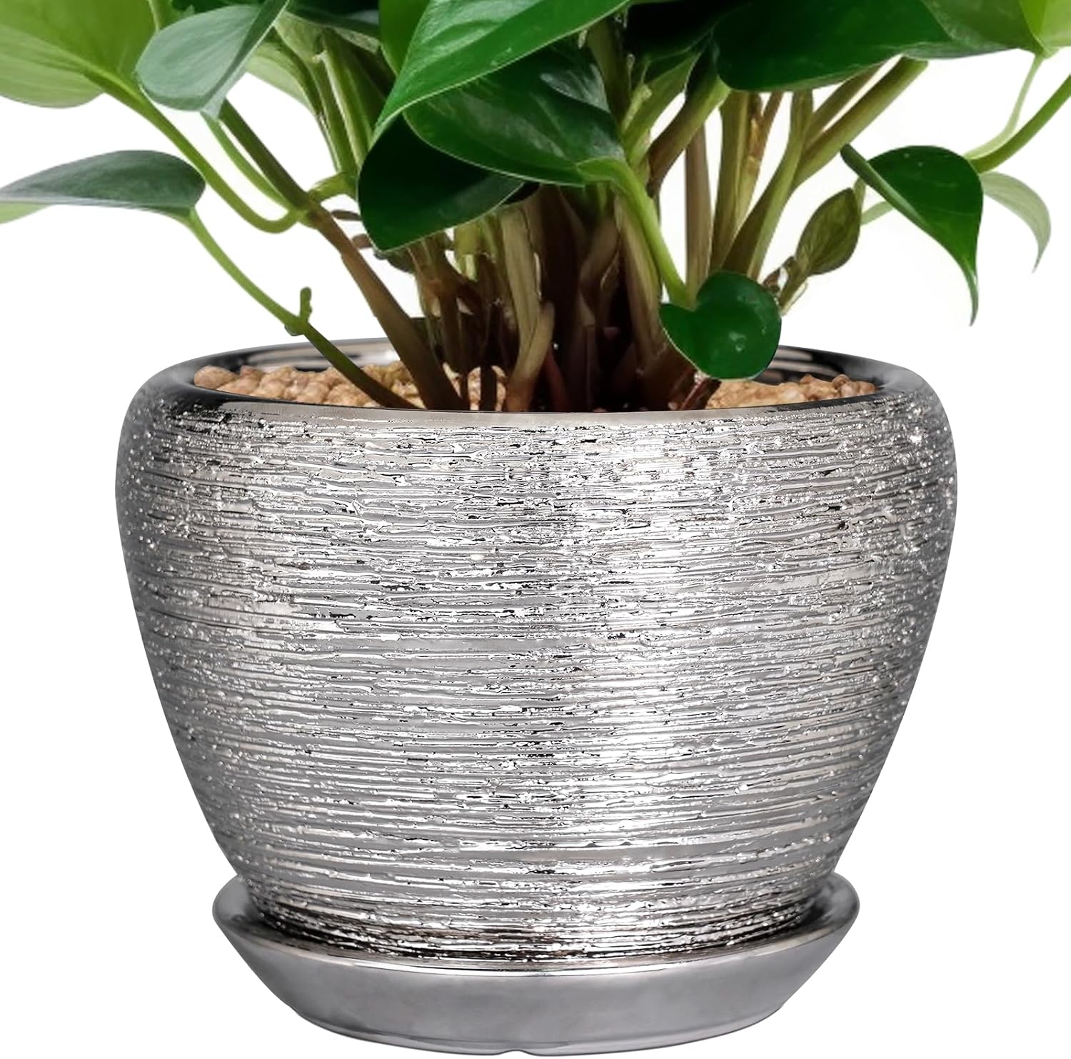 Glazed Ceramic Succulent Planter with Saucer, 6 inch