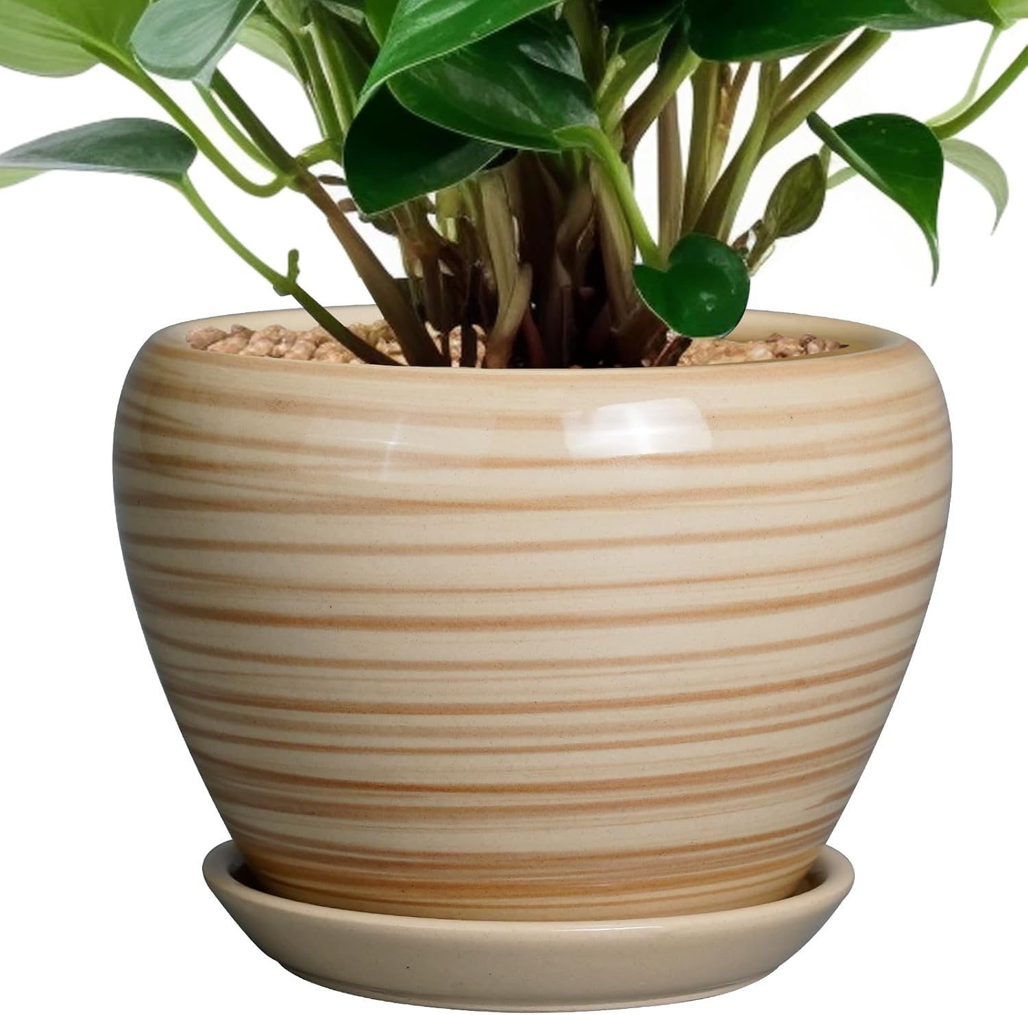 Glazed Ceramic Succulent Planter with Saucer, 6 inch