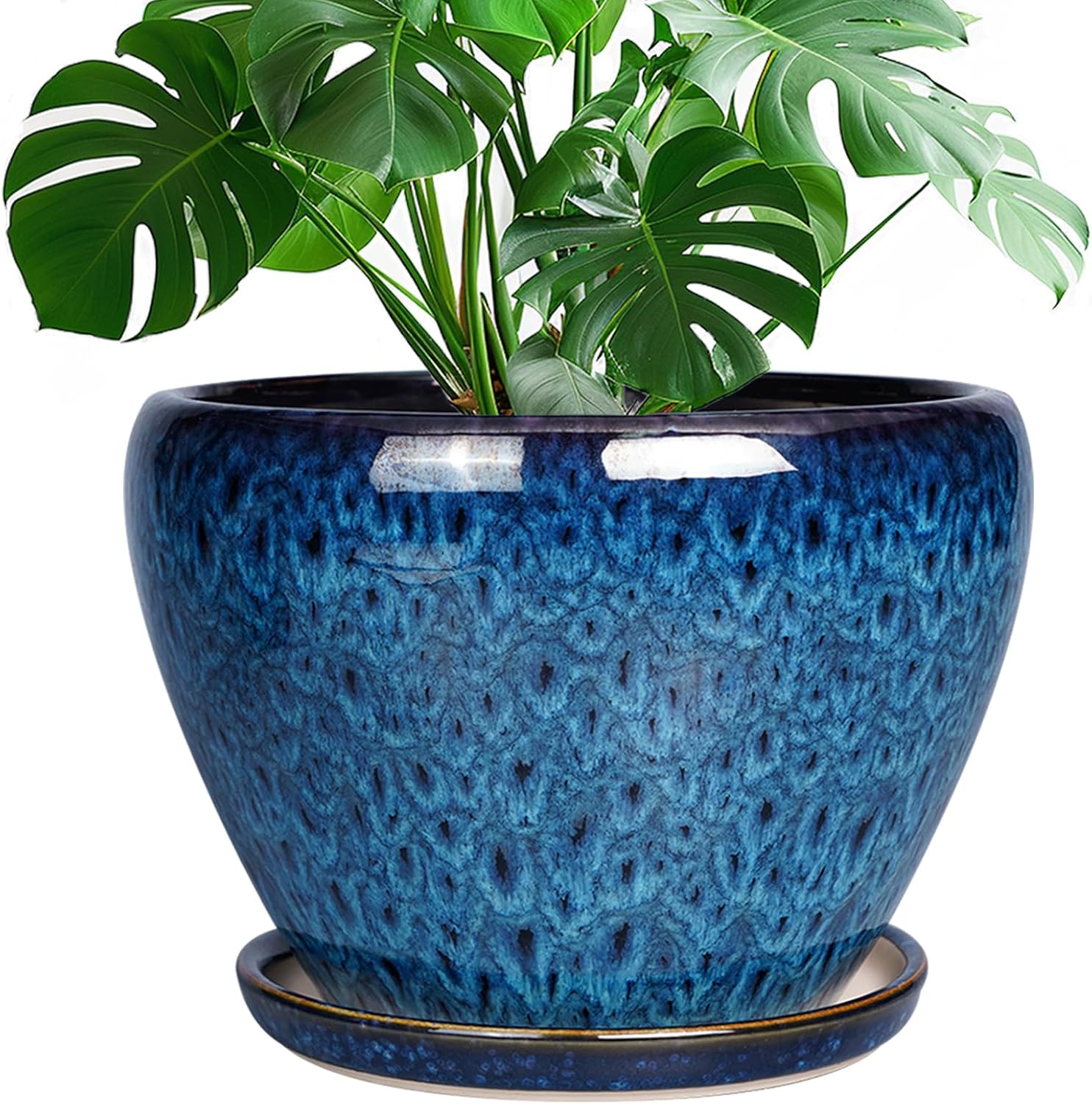 Glazed Ceramic Succulent Planter with Saucer, 6 inch