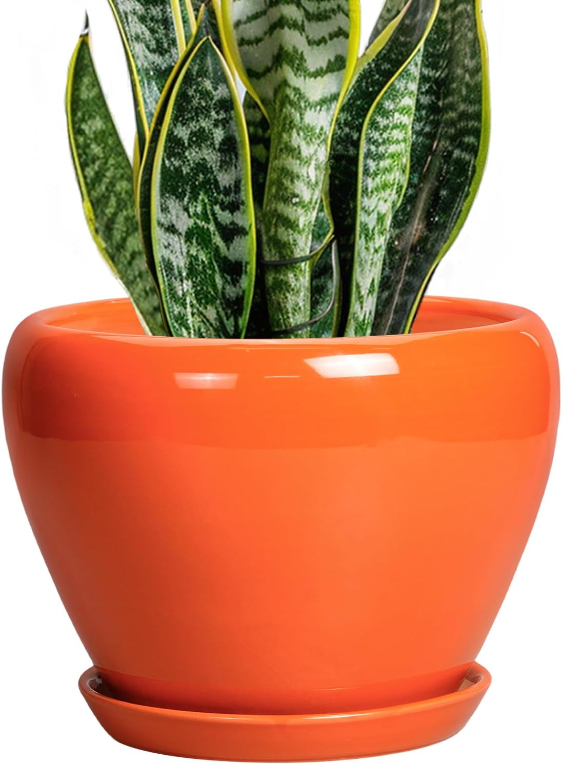 Glazed Ceramic Succulent Planter with Saucer, 6 inch