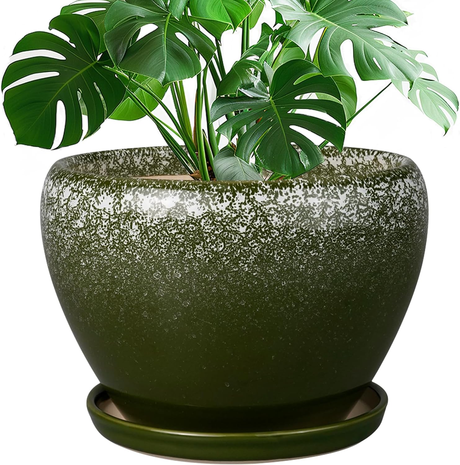 Glazed Ceramic Succulent Planter with Saucer, 6 inch