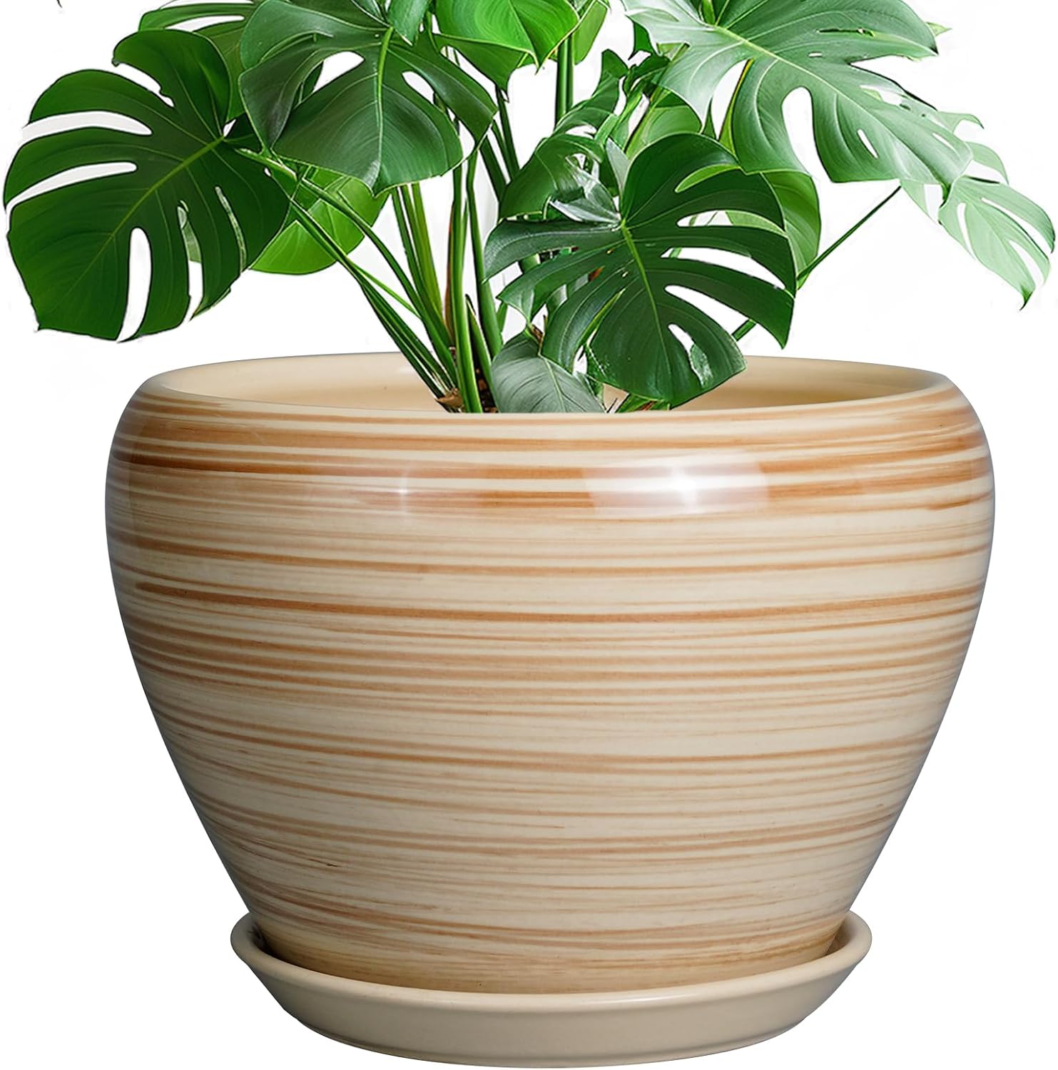 Glazed Ceramic Succulent Planter with Saucer, 6 inch