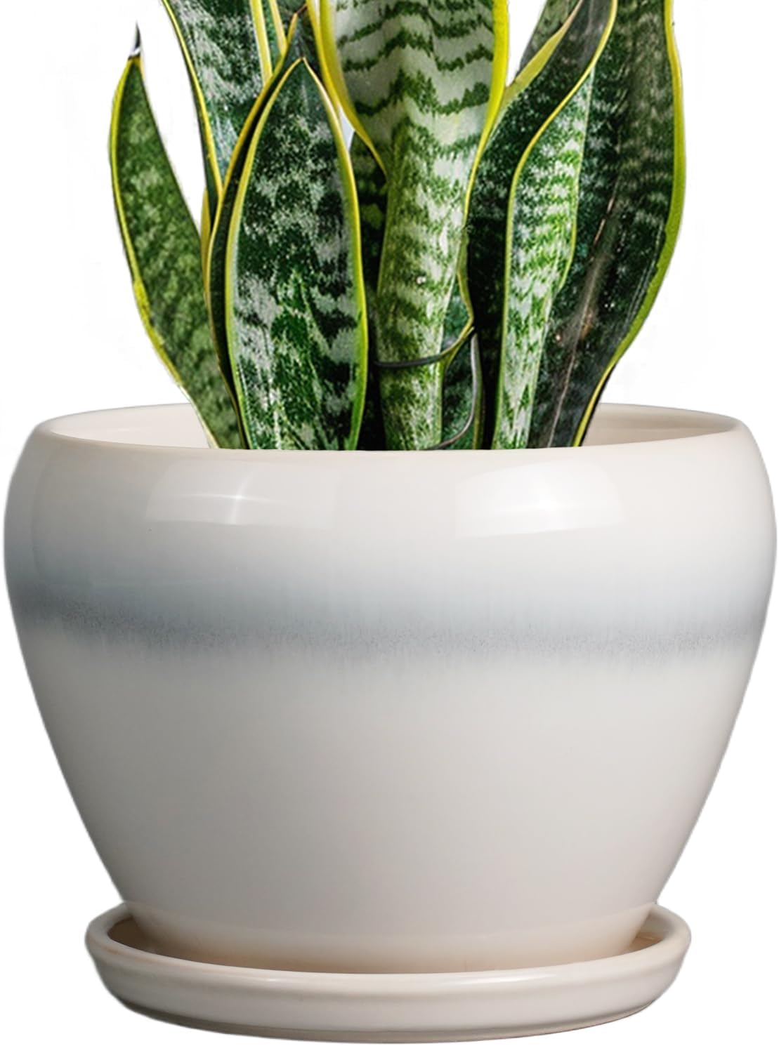 Glazed Ceramic Succulent Planter with Saucer, 6 inch