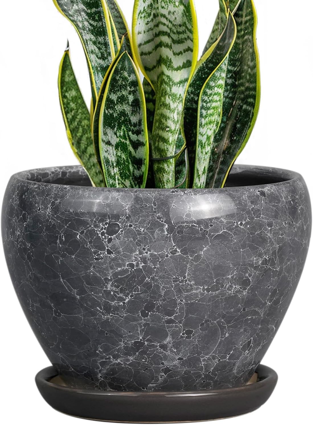Glazed Ceramic Succulent Planter with Saucer, 6 inch