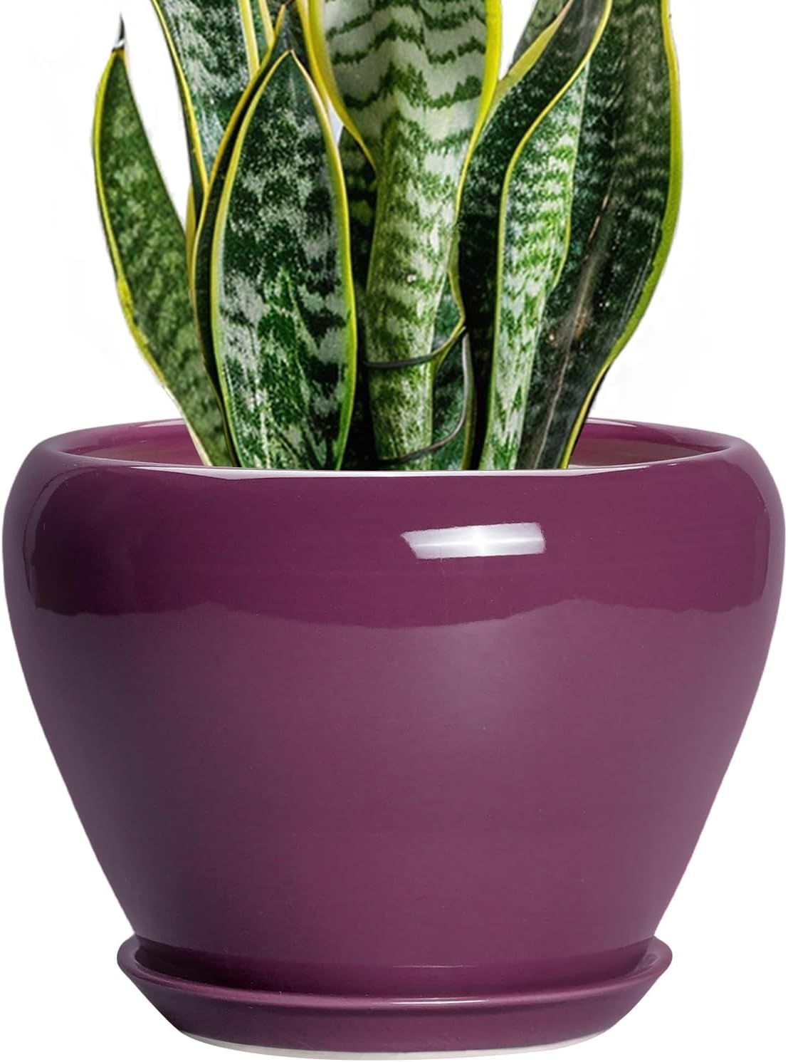Glazed Ceramic Succulent Planter with Saucer, 6 inch