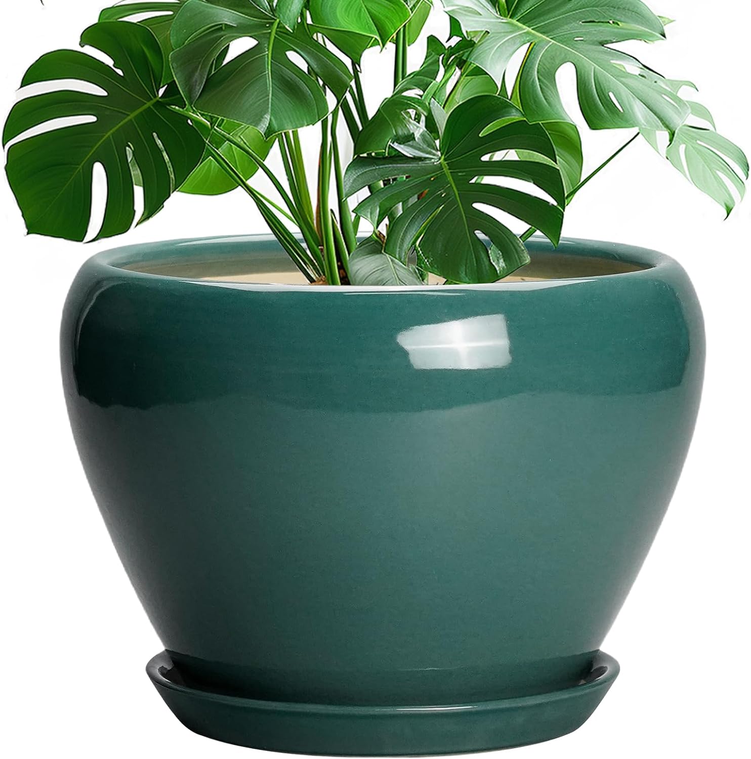 Glazed Ceramic Succulent Planter with Saucer, 6 inch