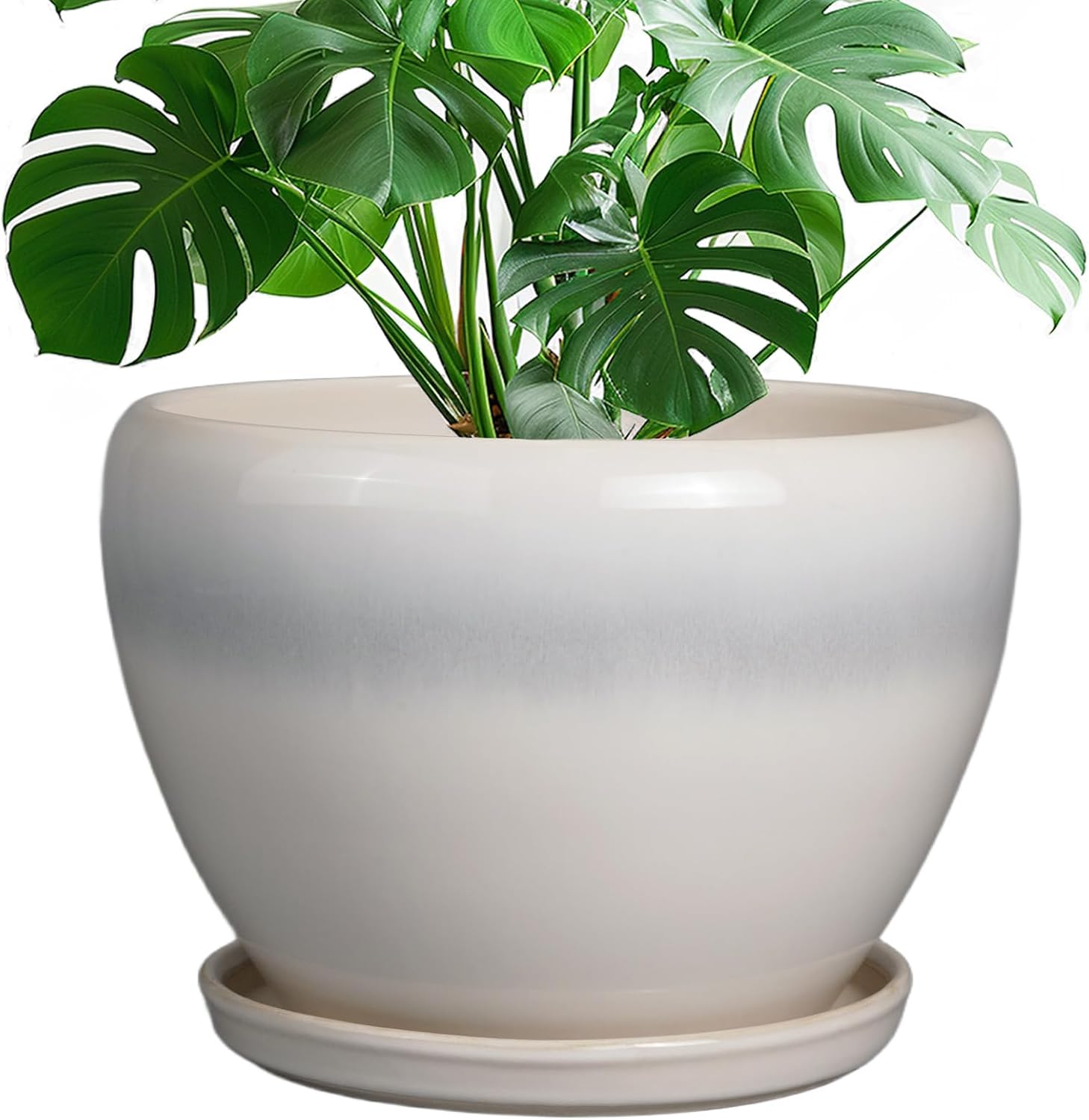 Glazed Ceramic Succulent Planter with Saucer, 6 inch