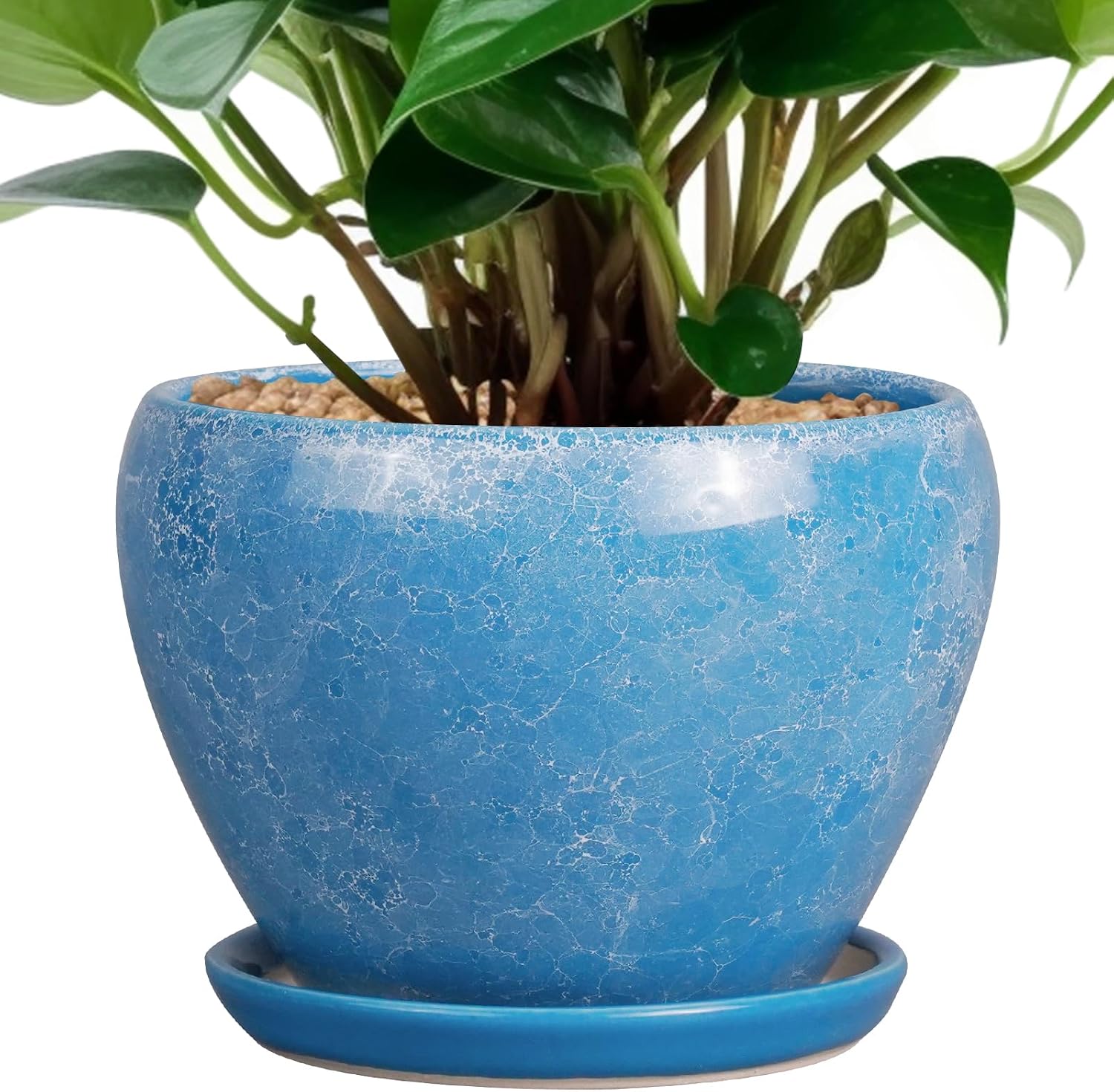 Glazed Ceramic Succulent Planter with Saucer, 6 inch