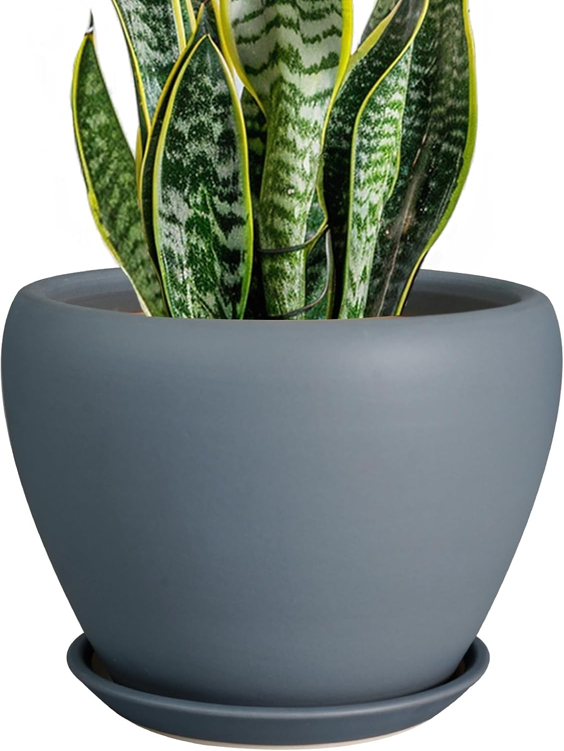 Glazed Ceramic Succulent Planter with Saucer, 6 inch