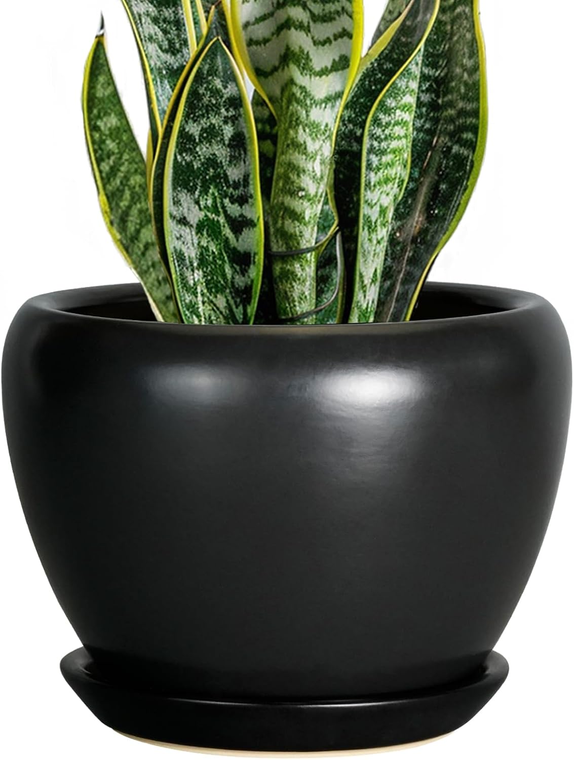 Glazed Ceramic Succulent Planter with Saucer, 6 inch