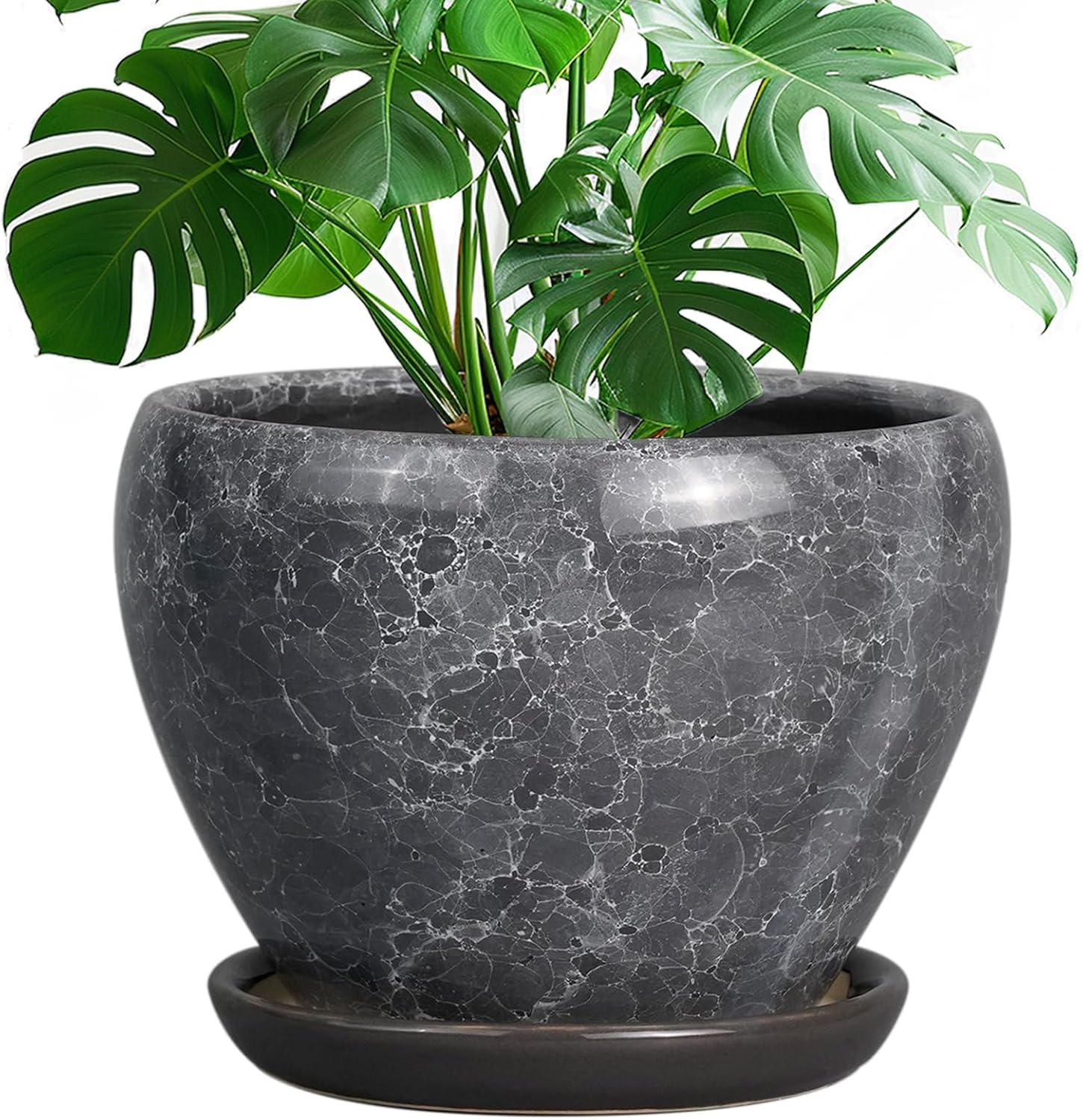 Glazed Ceramic Succulent Planter with Saucer, 6 inch