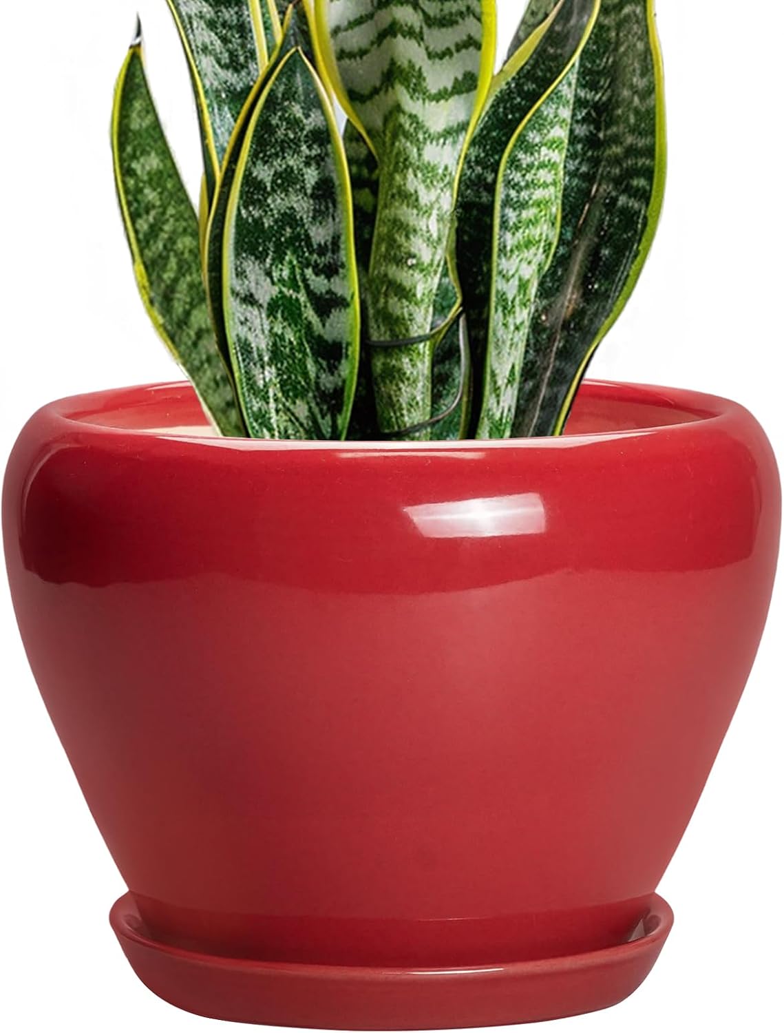 Glazed Ceramic Succulent Planter with Saucer, 6 inch