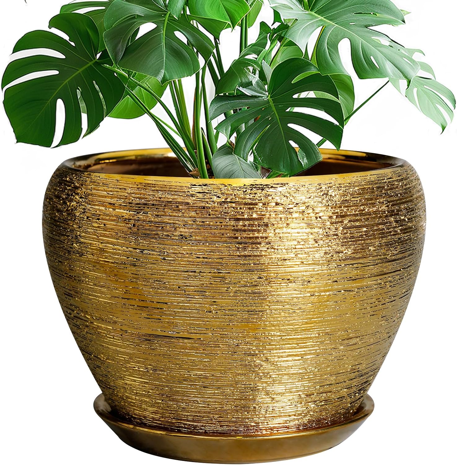 Glazed Ceramic Succulent Planter with Saucer, 6 inch