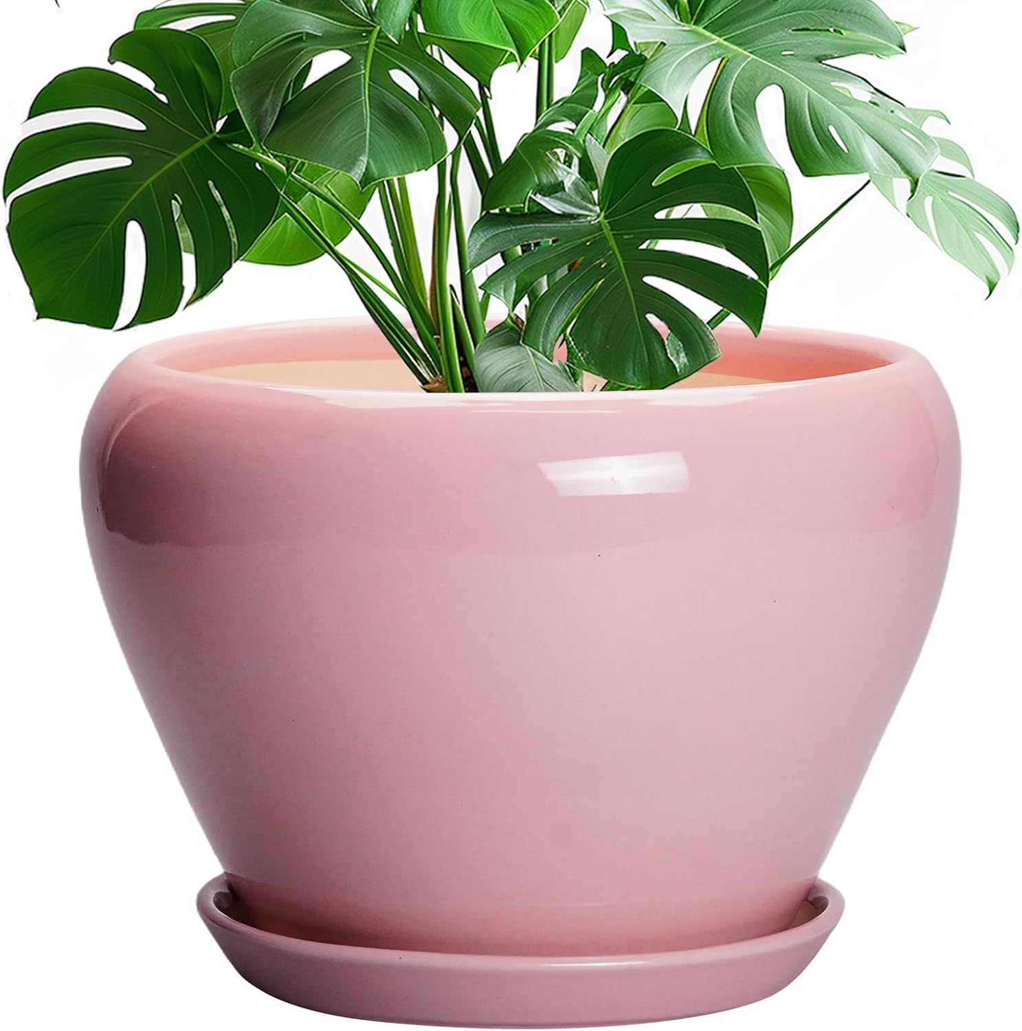 Glazed Ceramic Succulent Planter with Saucer, 6 inch