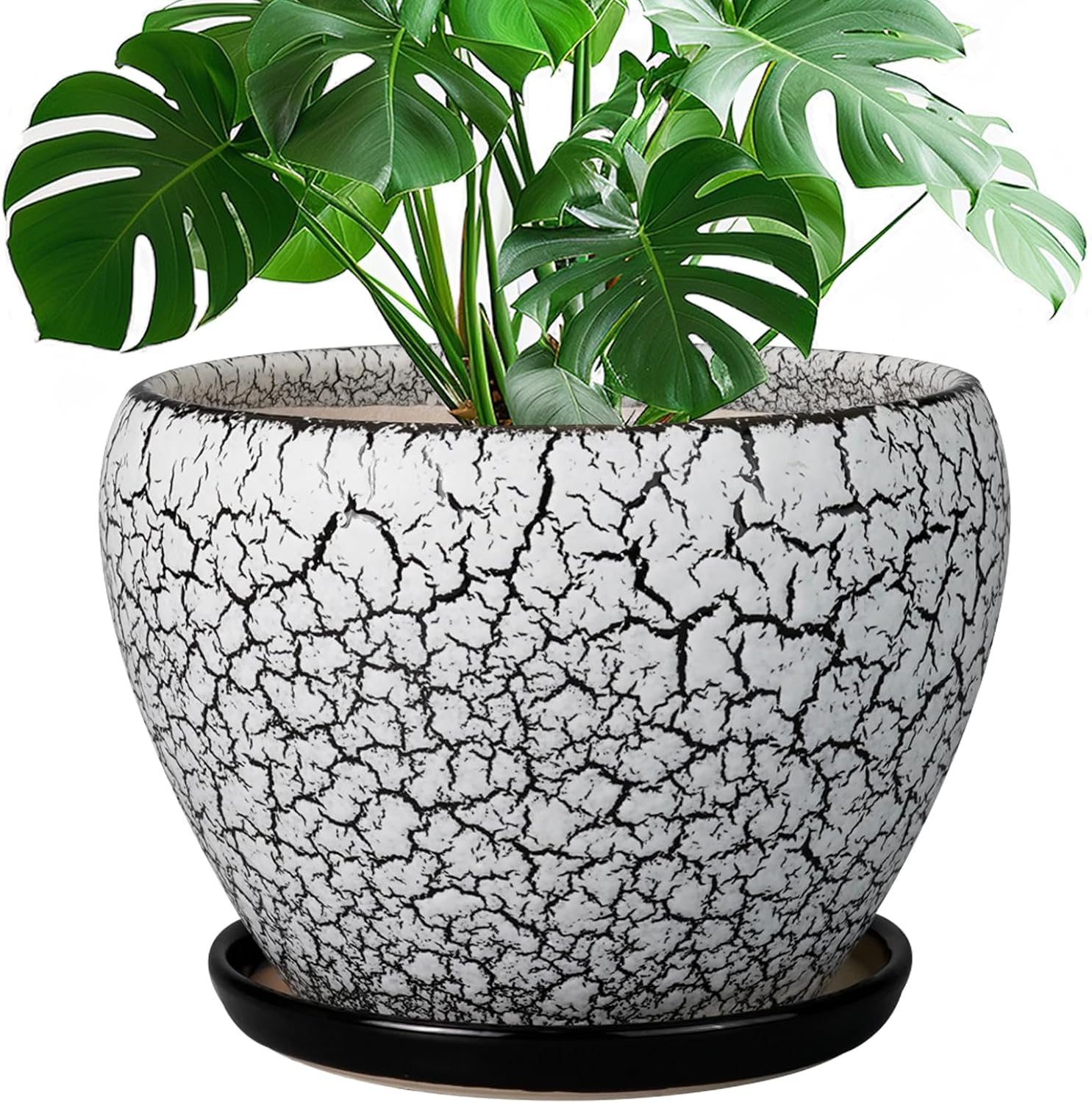 Glazed Ceramic Succulent Planter with Saucer, 6 inch