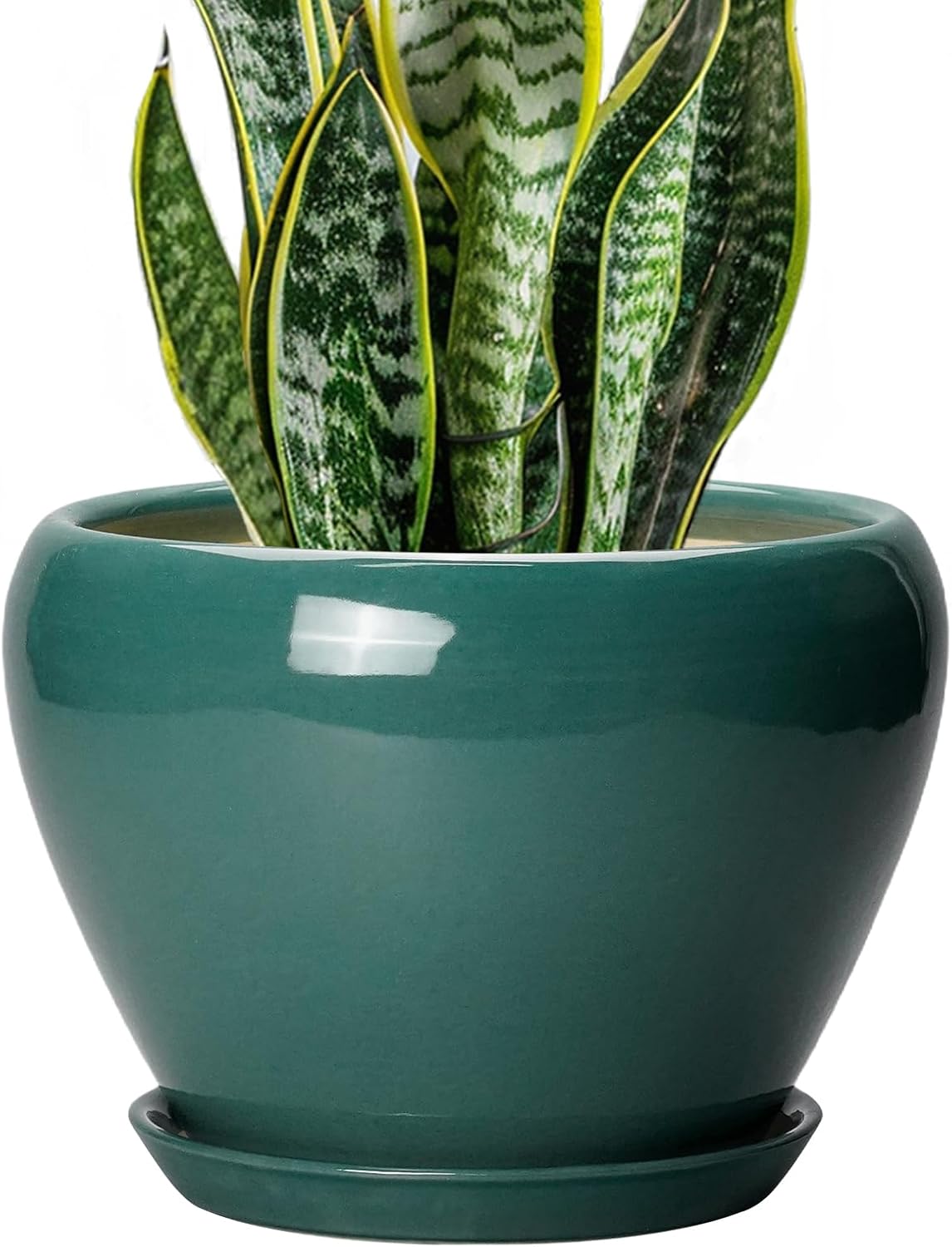 Glazed Ceramic Succulent Planter with Saucer, 6 inch