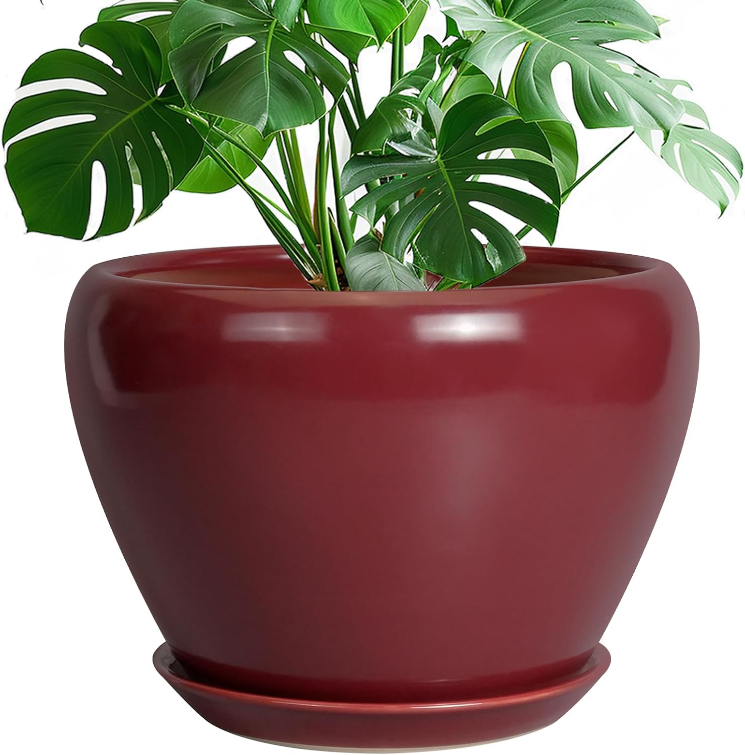 Glazed Ceramic Succulent Planter with Saucer, 6 inch