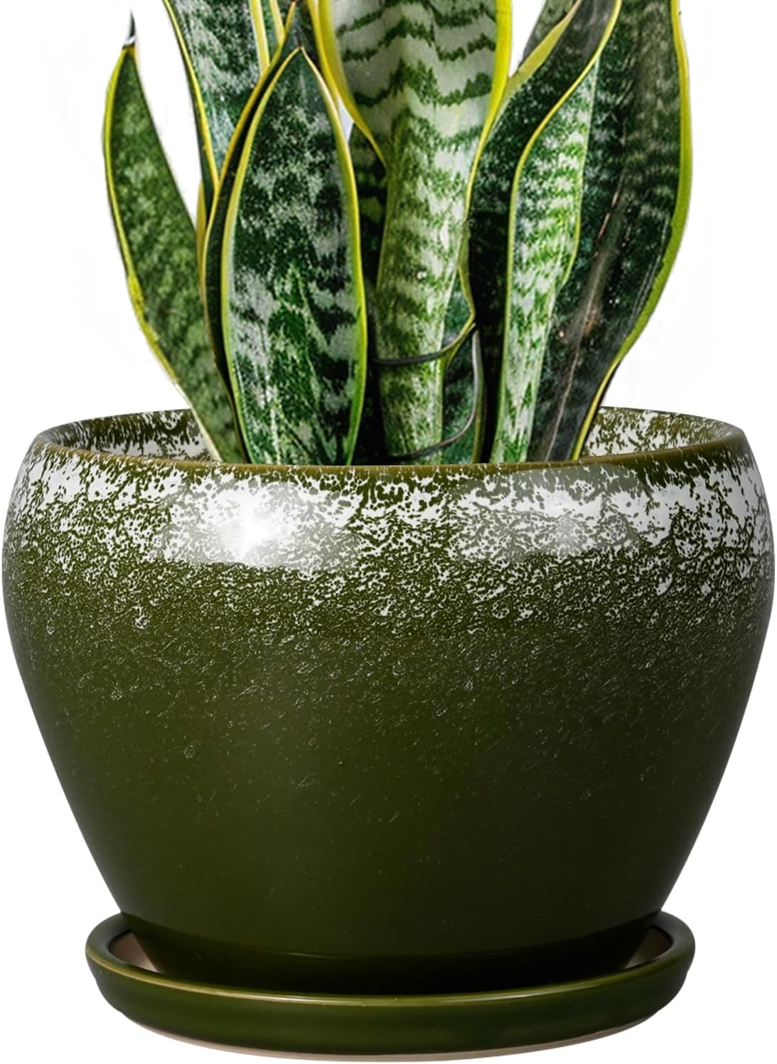 Glazed Ceramic Succulent Planter with Saucer, 6 inch