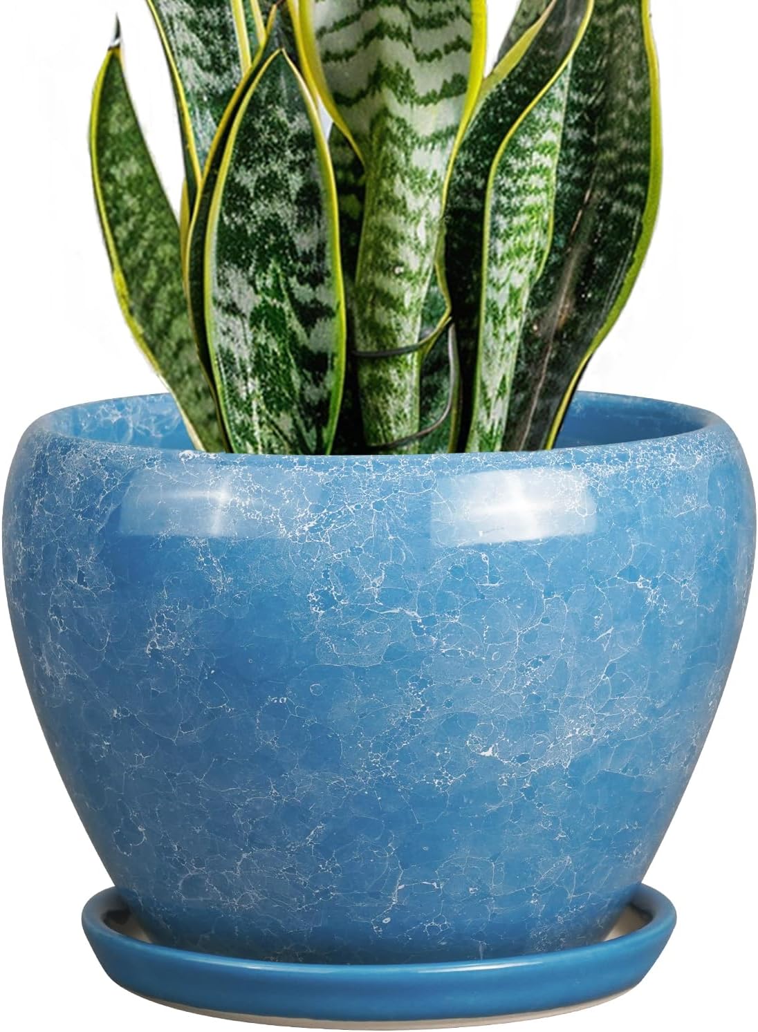 Glazed Ceramic Succulent Planter with Saucer, 6 inch