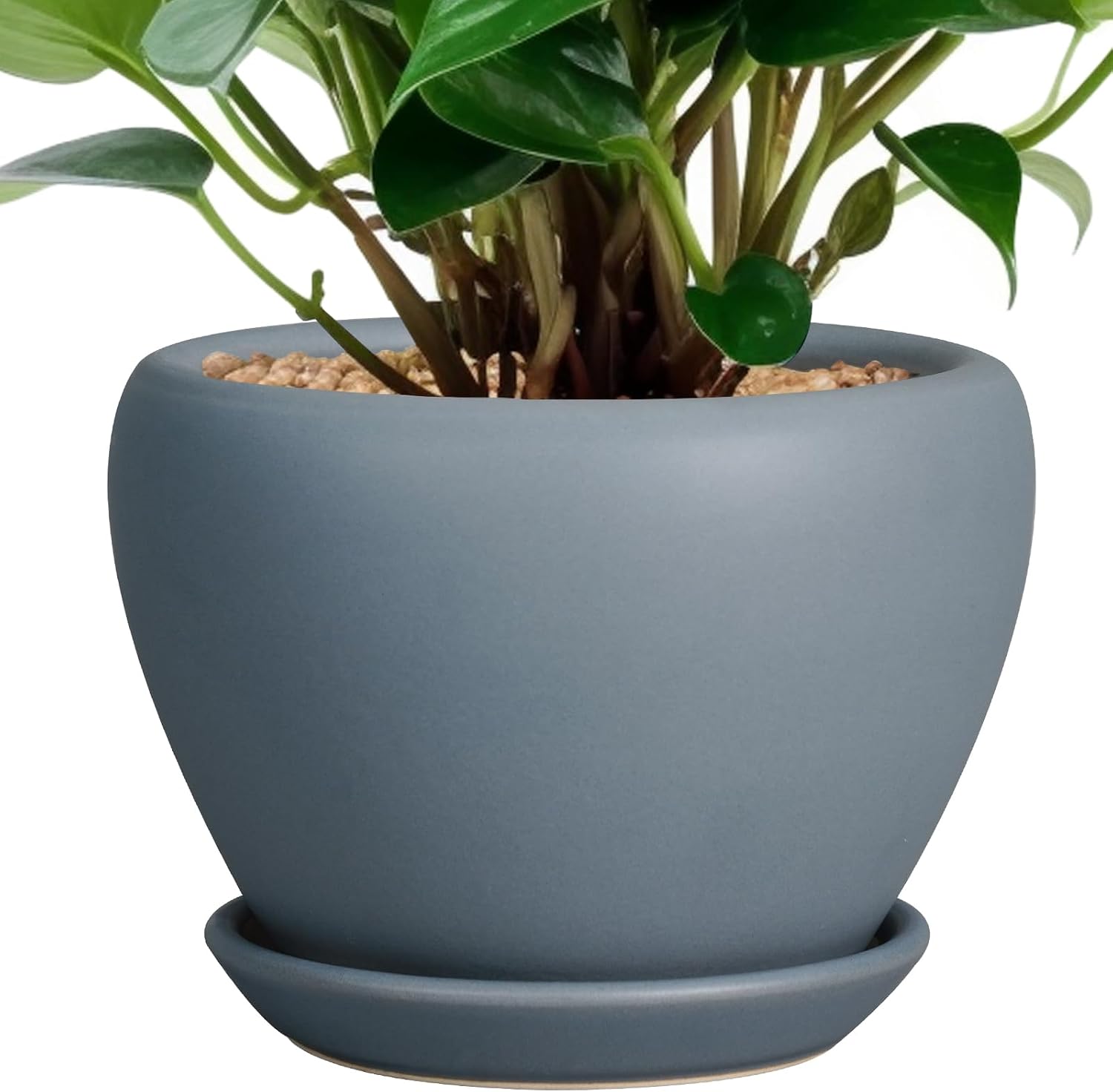 Glazed Ceramic Succulent Planter with Saucer, 6 inch