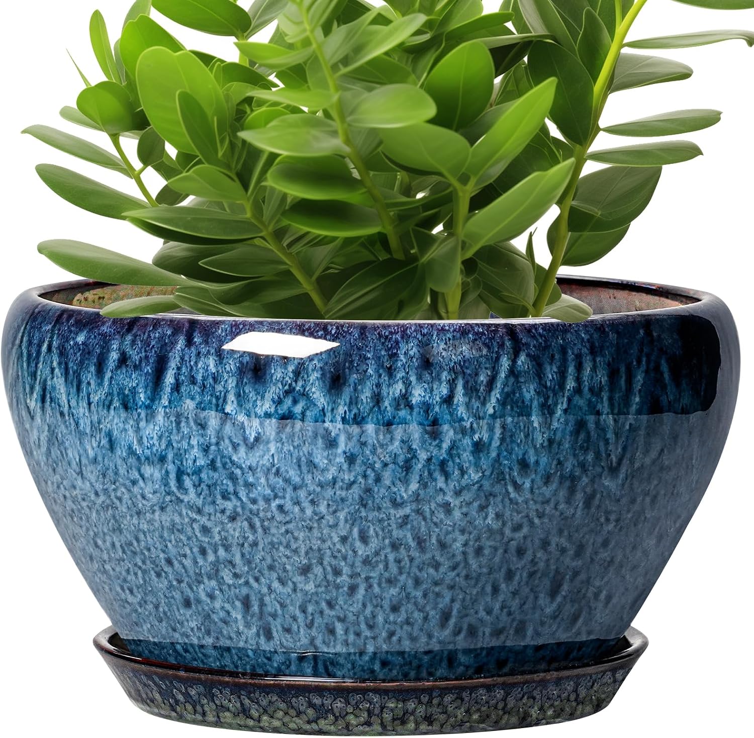 Glazed Ceramic Succulent Planter with Saucer, 6 inch