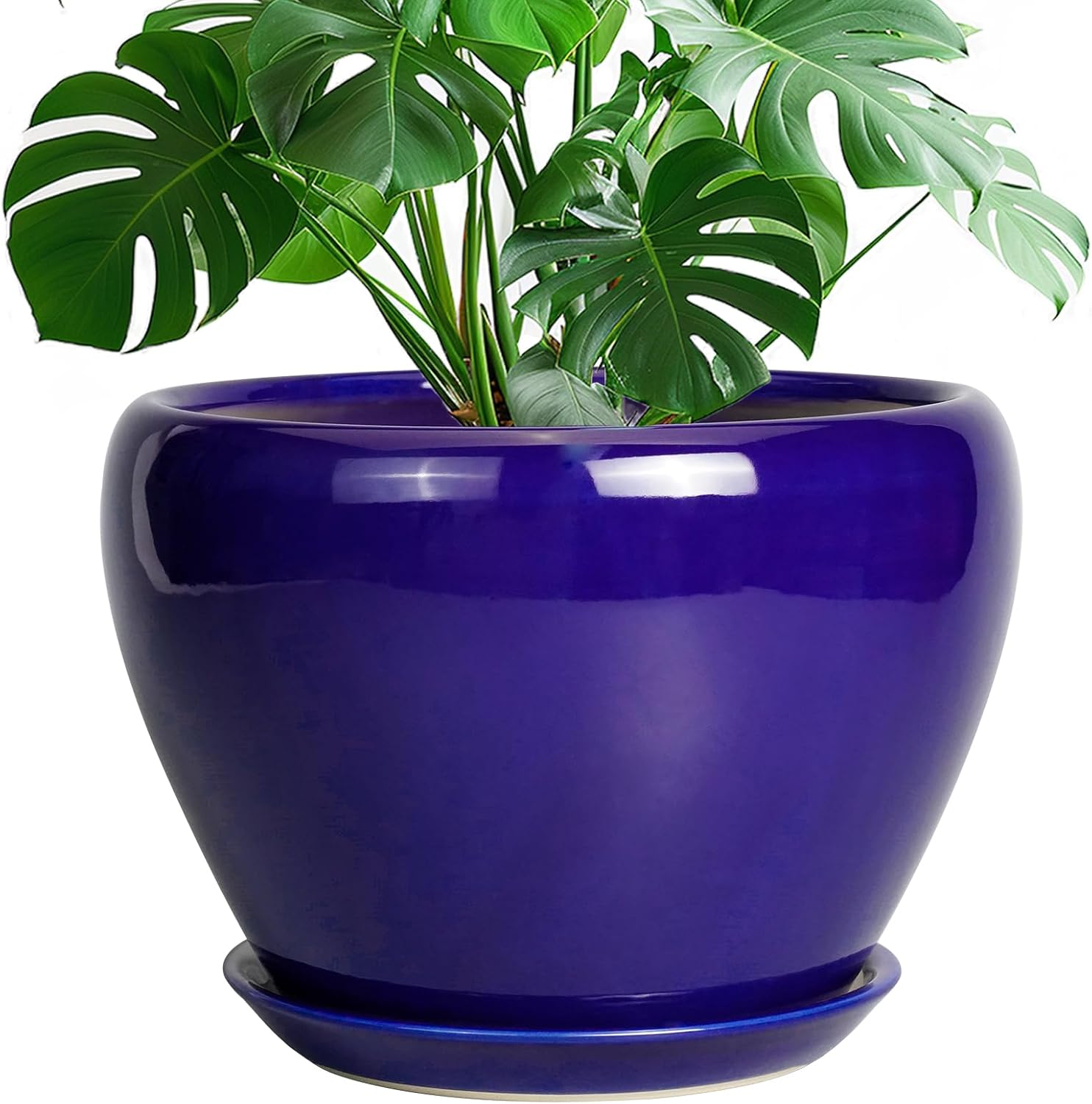 Glazed Ceramic Succulent Planter with Saucer, 6 inch