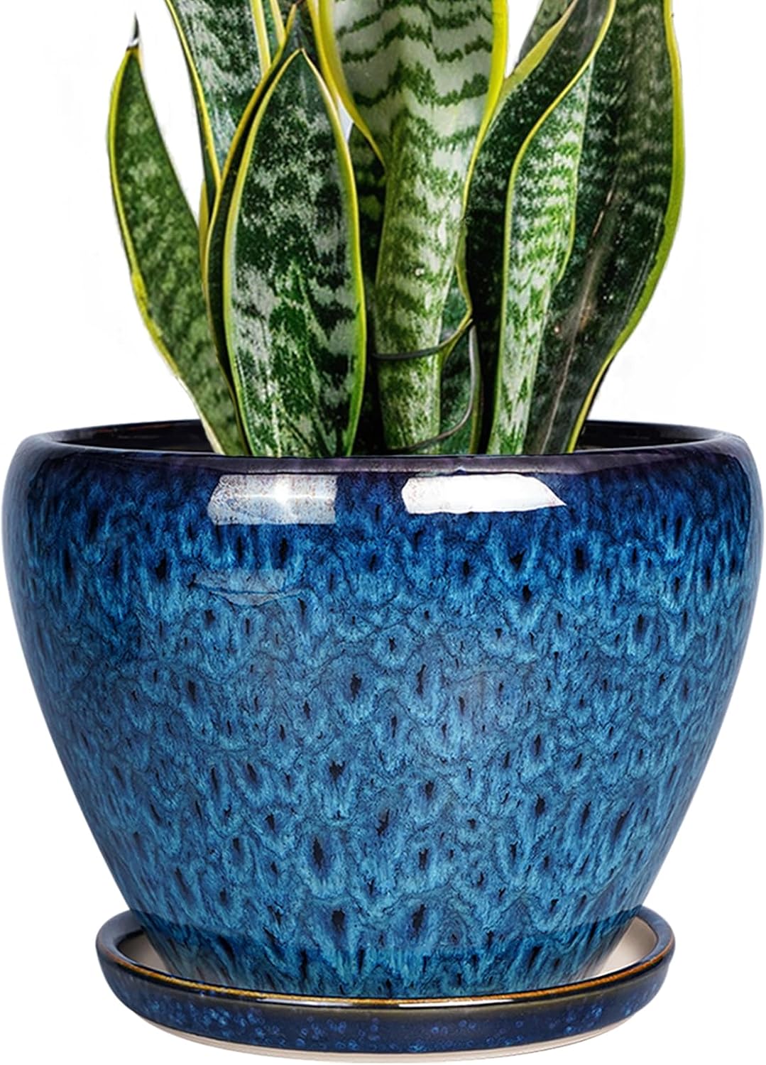 Glazed Ceramic Succulent Planter with Saucer, 6 inch