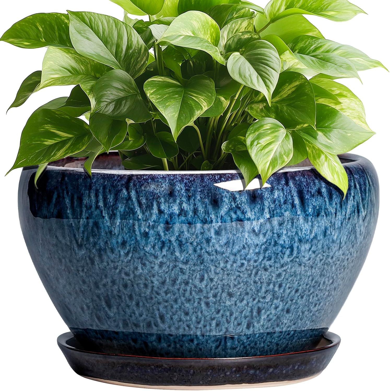 Glazed Ceramic Succulent Planter with Saucer, 6 inch