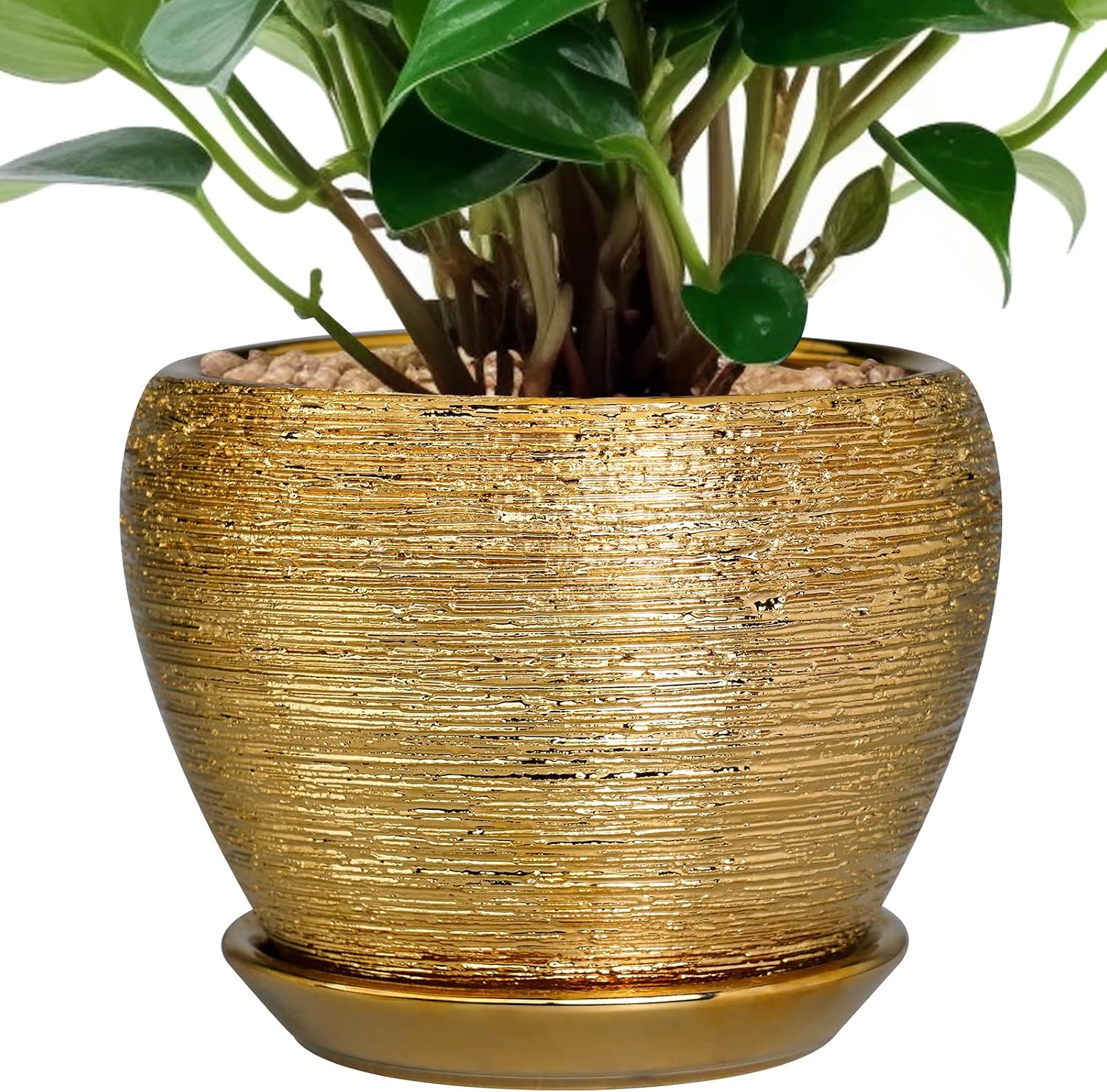 Glazed Ceramic Succulent Planter with Saucer, 6 inch