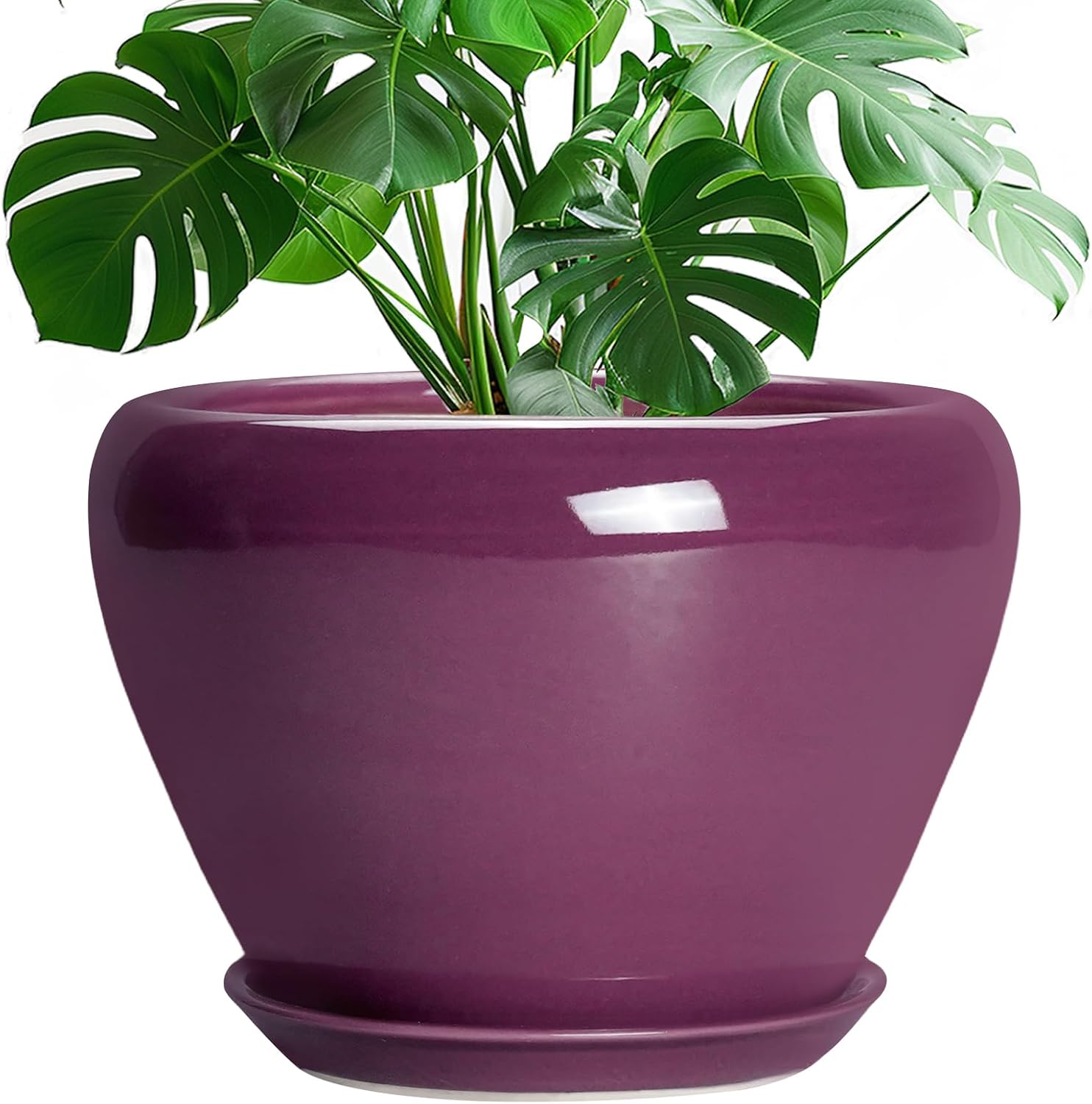 Glazed Ceramic Succulent Planter with Saucer, 6 inch