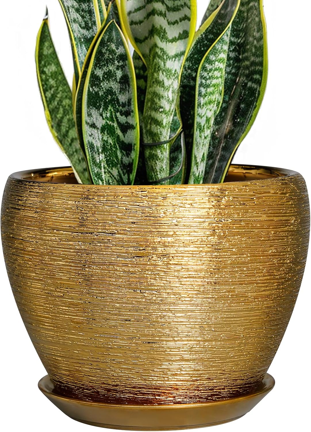 Glazed Ceramic Succulent Planter with Saucer, 6 inch