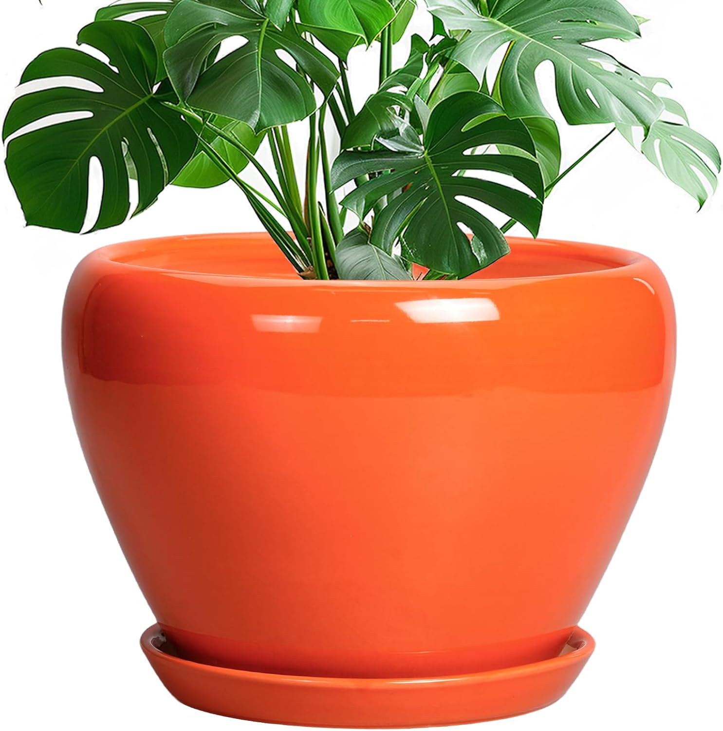 Glazed Ceramic Succulent Planter with Saucer, 6 inch